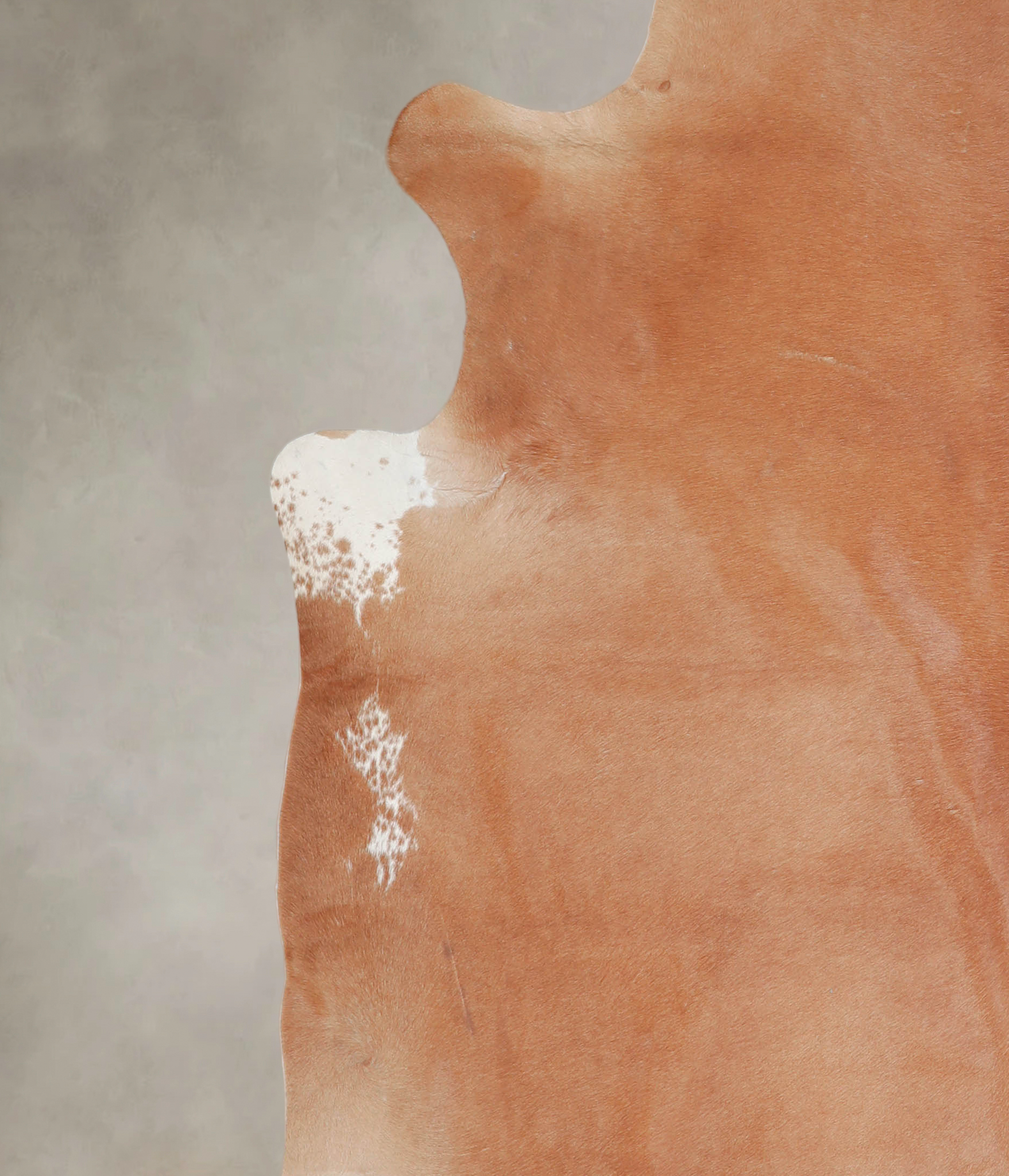 Solid Brown Cowhide Rug #A25429