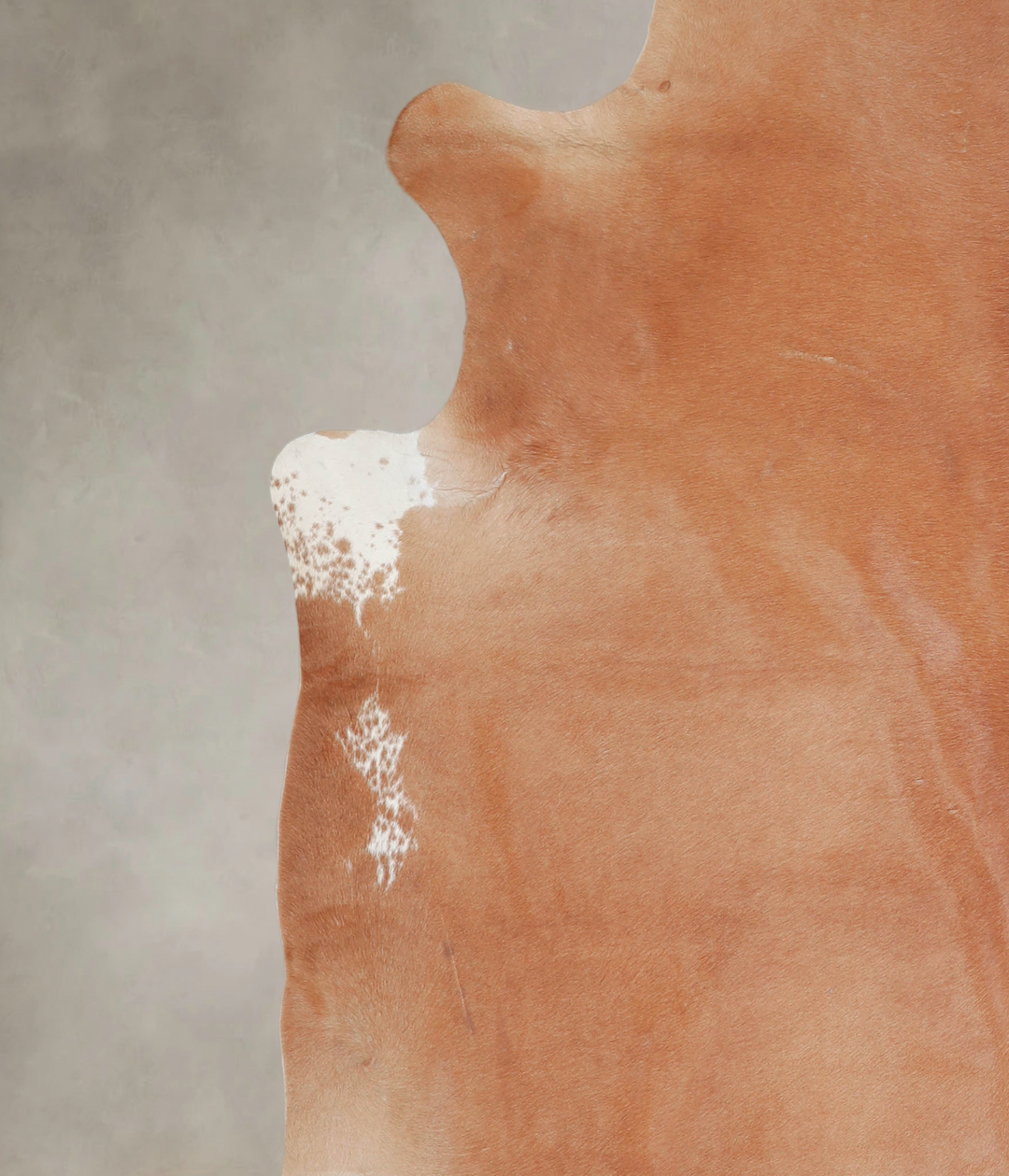 Solid Brown XX-Large Brazilian Cowhide Rug 7'10"H x 7'8"W #A25429 by H