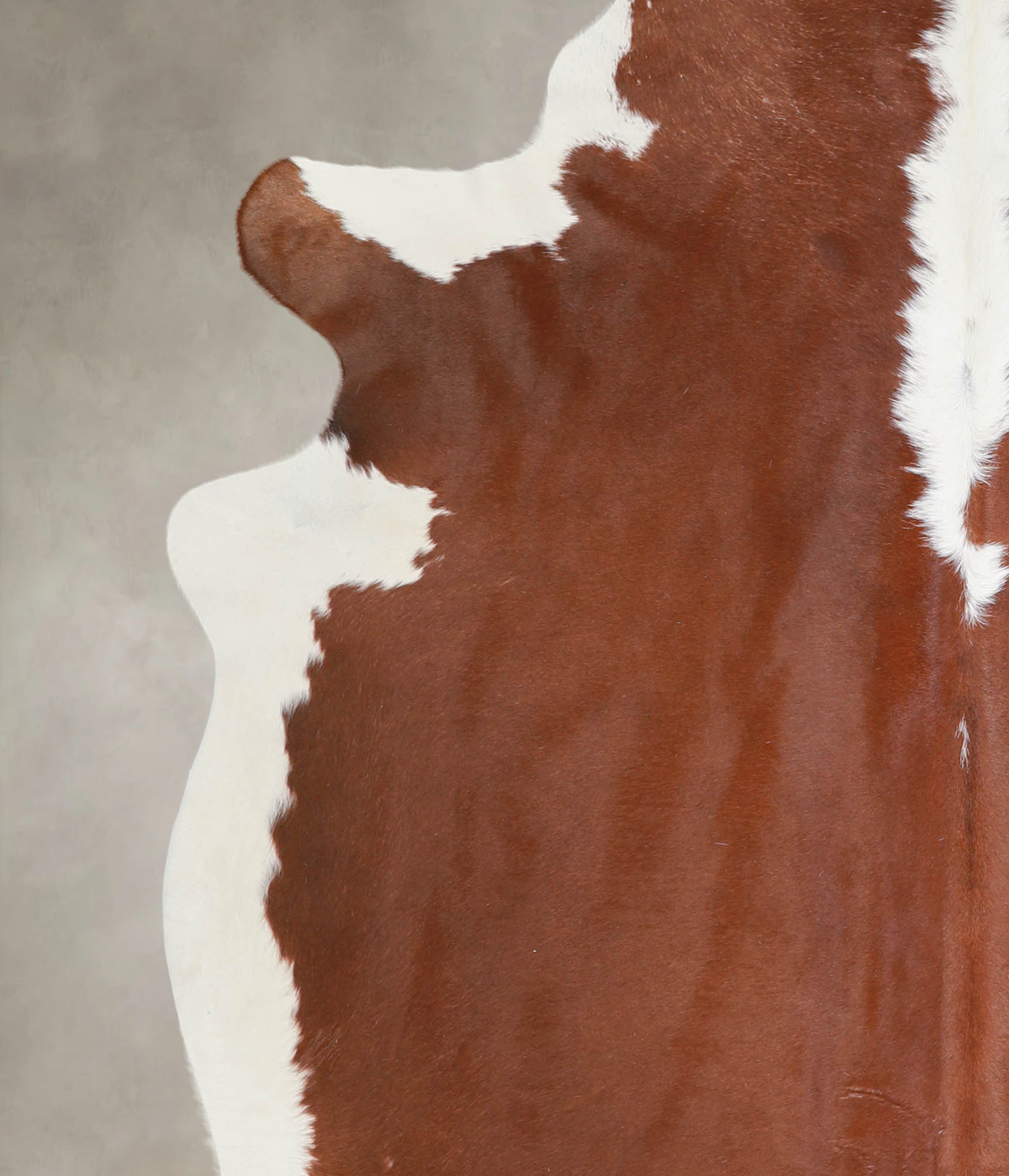 Hereford XX-Large Brazilian Cowhide Rug 7'8"H x 7'0"W #A25444 by Hudson Hides