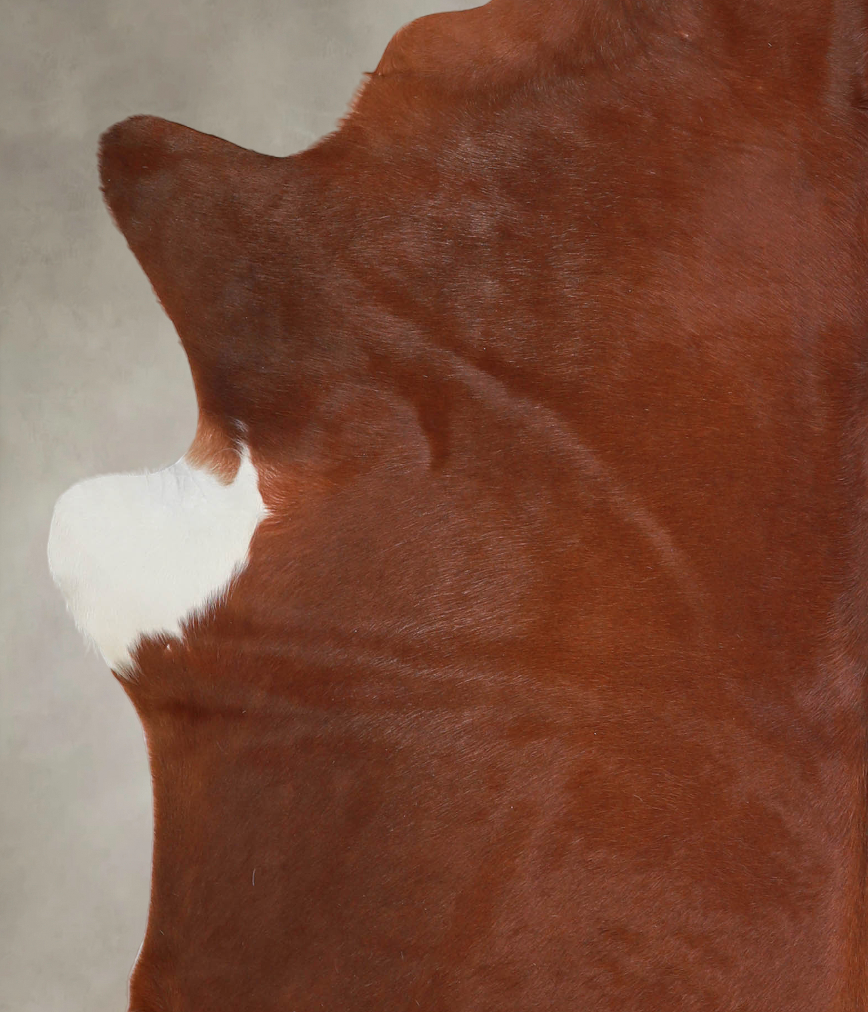 Solid Brown Cowhide Rug #A25462