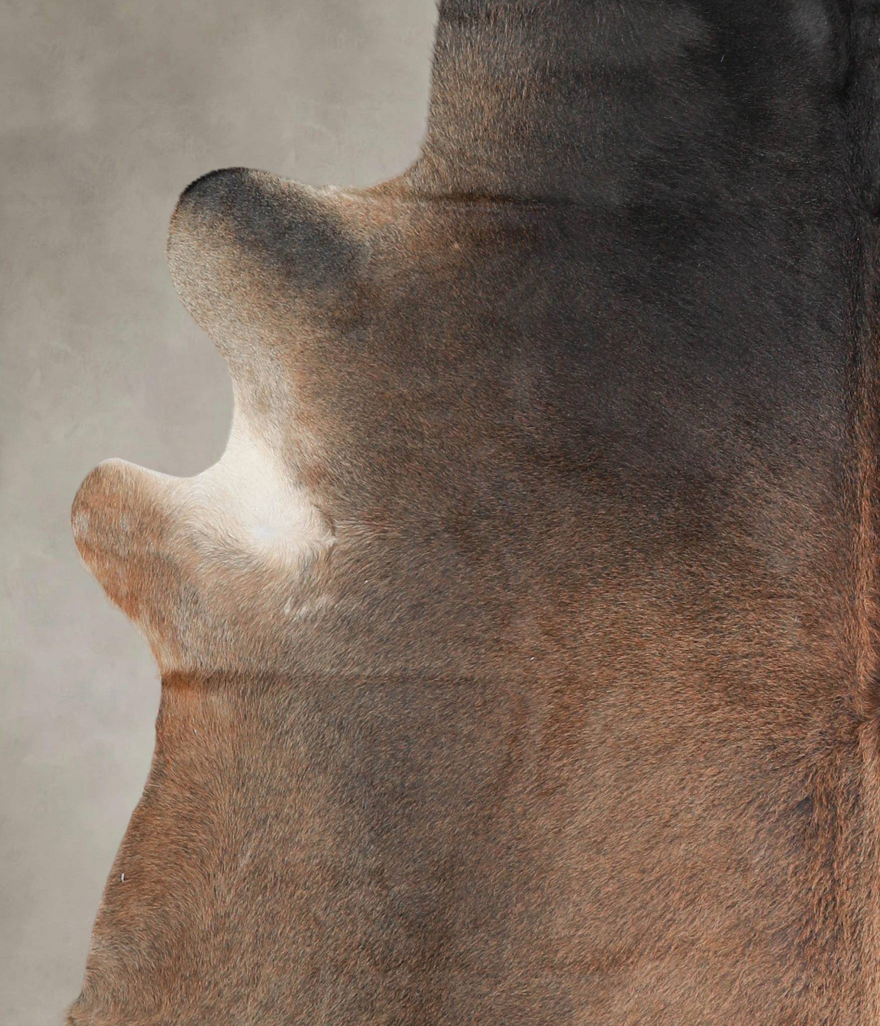 Grey with Beige Cowhide Rug #A25466