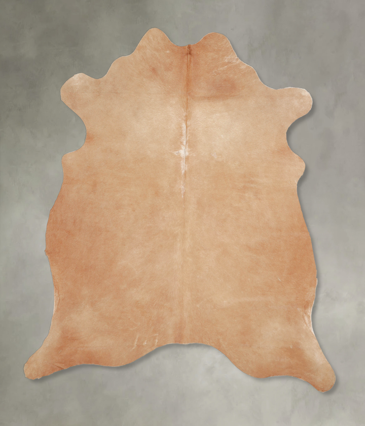 Beige Large Brazilian Cowhide Rug 6'2"H x 5'7"W #A25484 by Hudson Hides