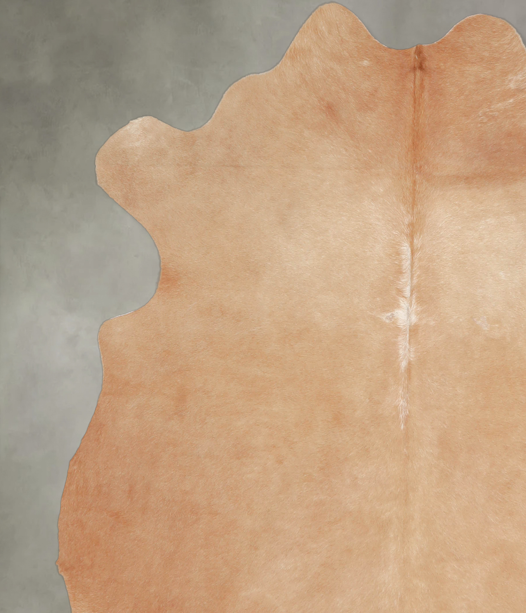 Beige Large Brazilian Cowhide Rug 6'2"H x 5'7"W #A25484 by Hudson Hide