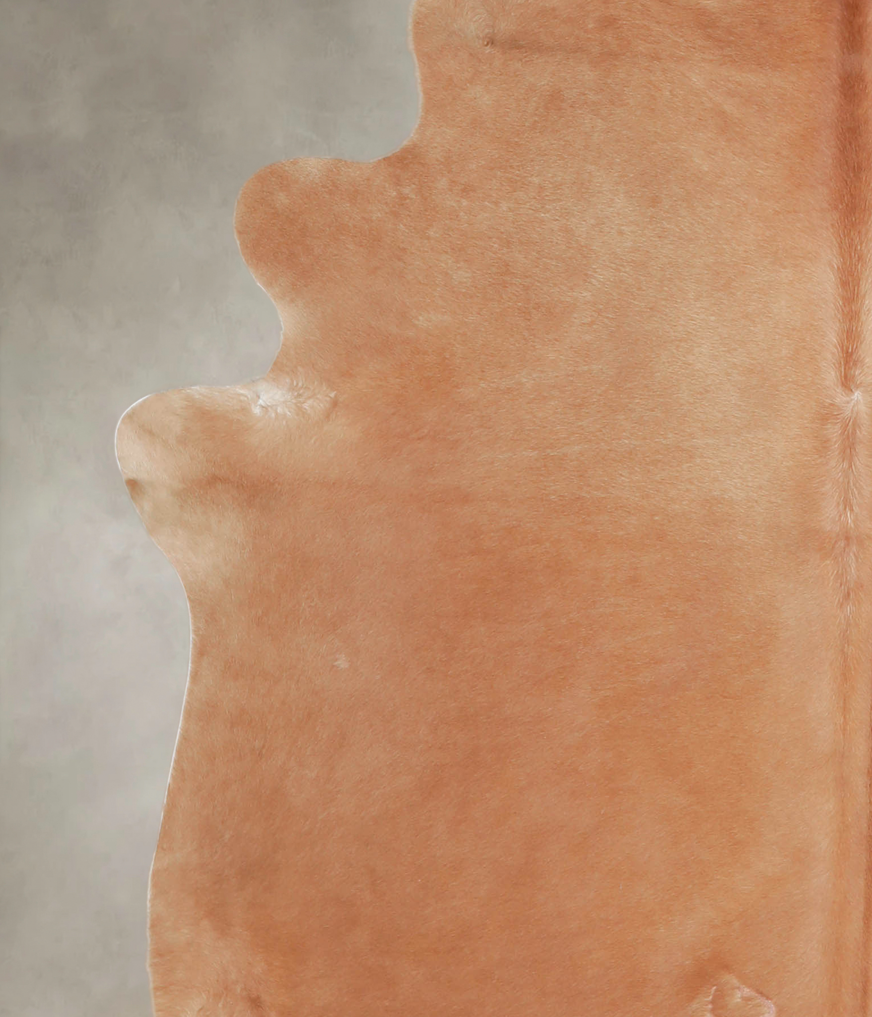 Solid Brown Cowhide Rug #A25485