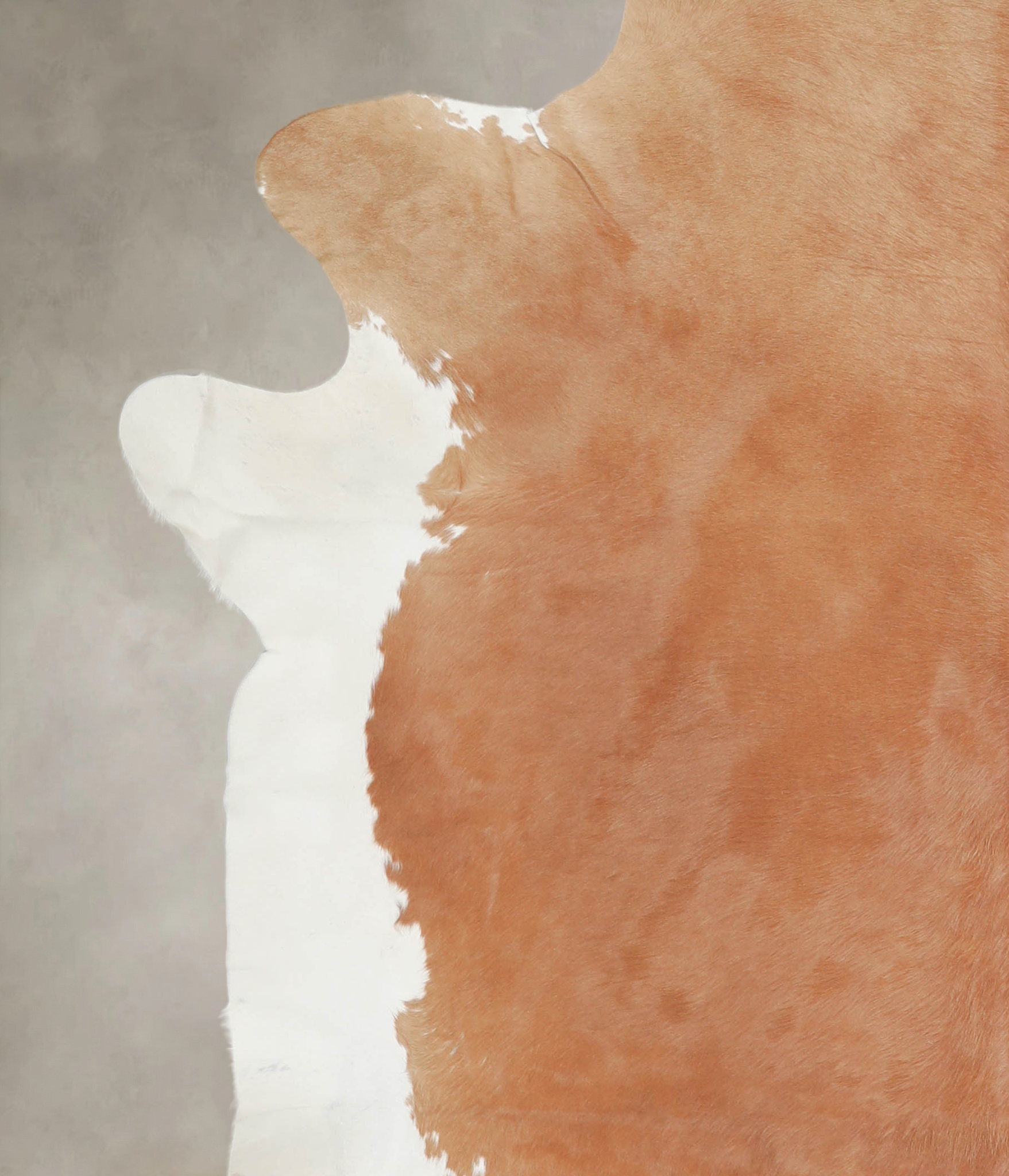 Brown and White Regular Cowhide Rug #A25513
