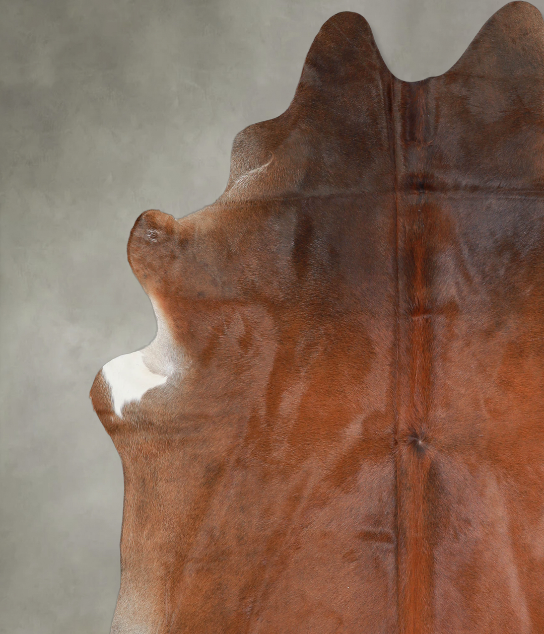 Warm Caramel X-Large Brazilian Cowhide Rug 7'3"H x 6'9"W #A25516 by Hu