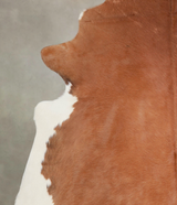 Solid Brown XX-Large Brazilian Cowhide Rug 7'2"H x 6'11"W #A25521 by Hudson Hides
