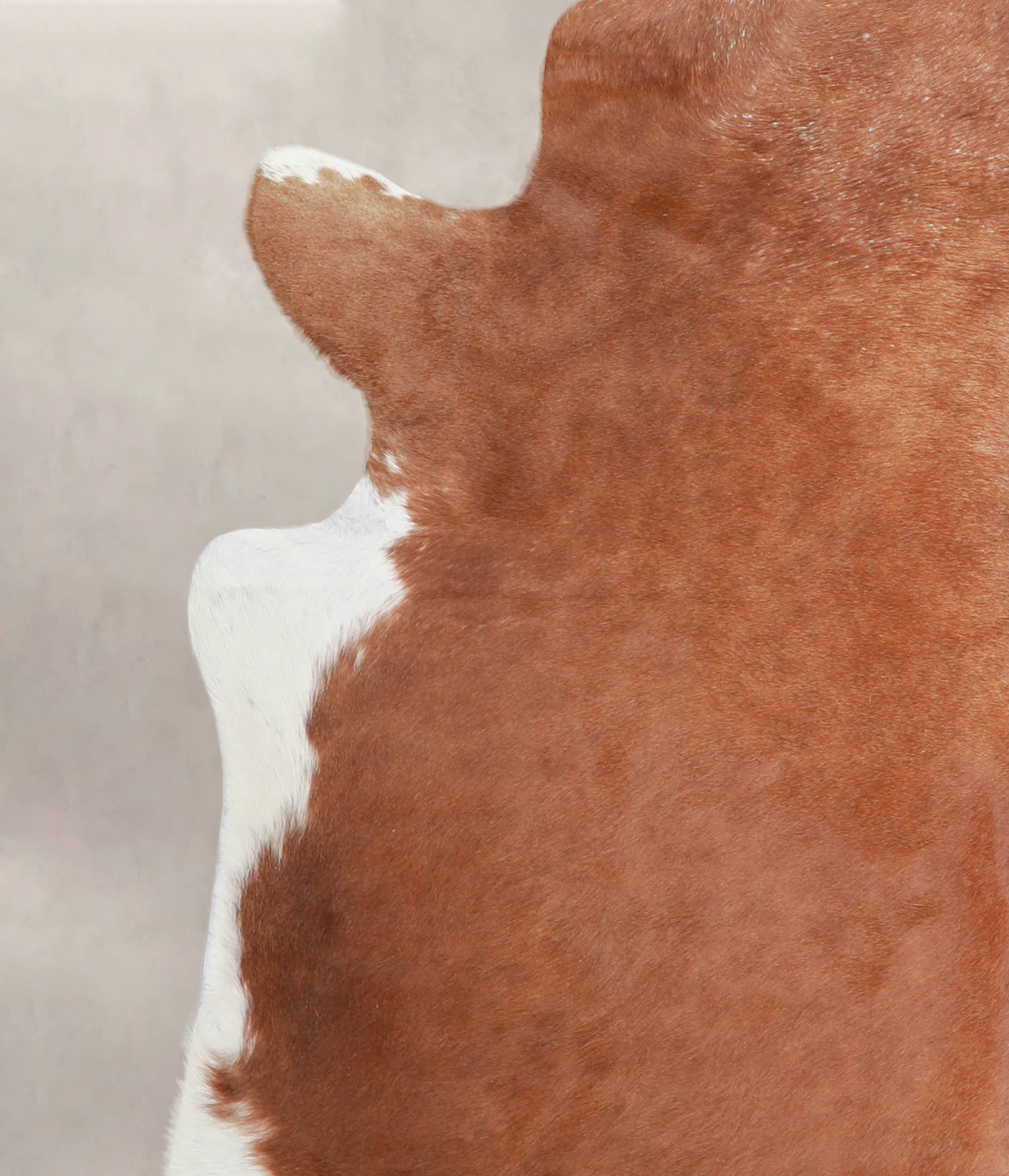 Brown and White Regular Cowhide Rug #A25523