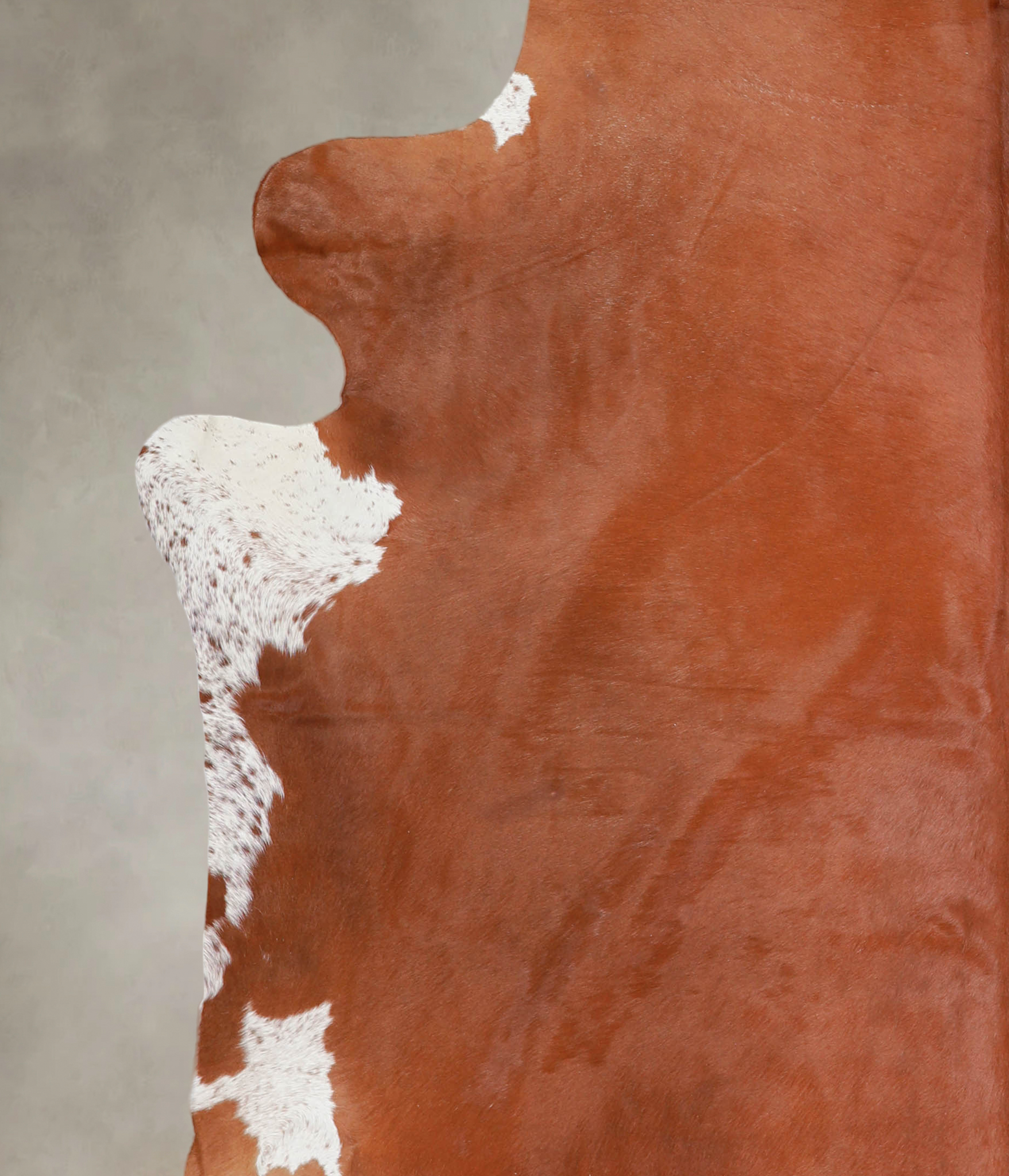 Brown and White Regular Cowhide Rug #A25533