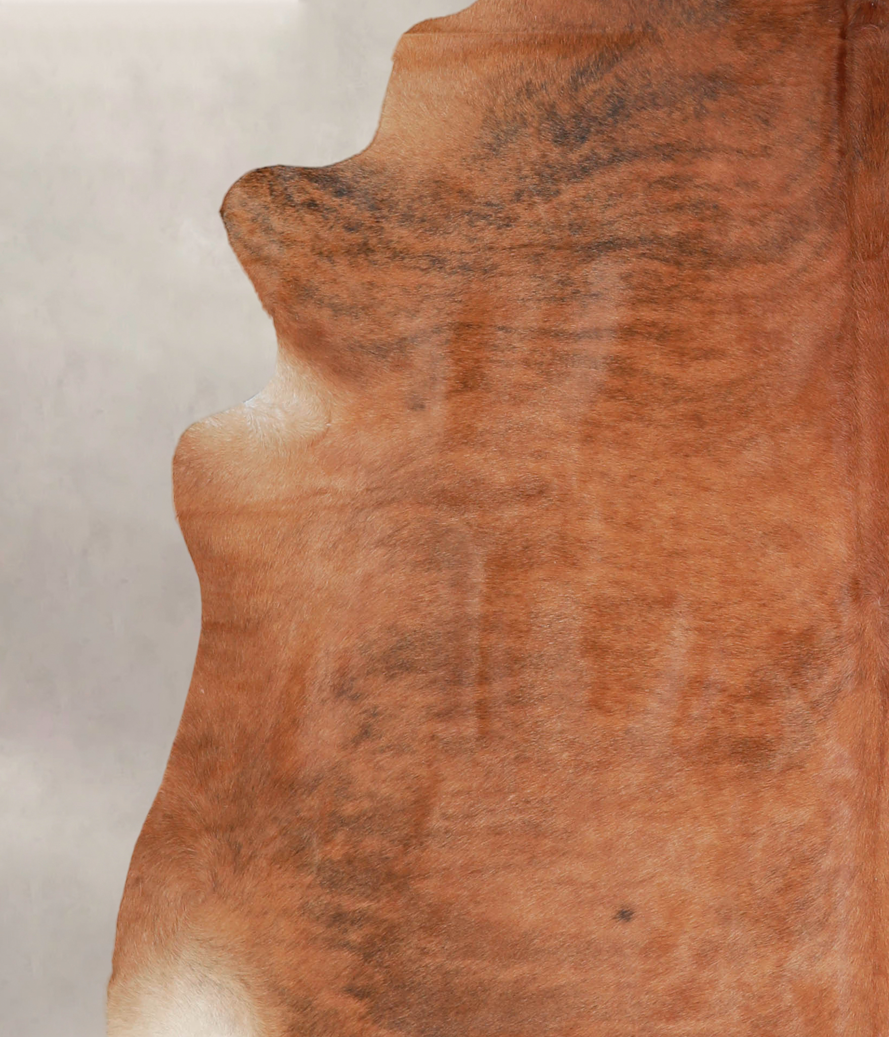 Medium Brindle Cowhide Rug #A25559