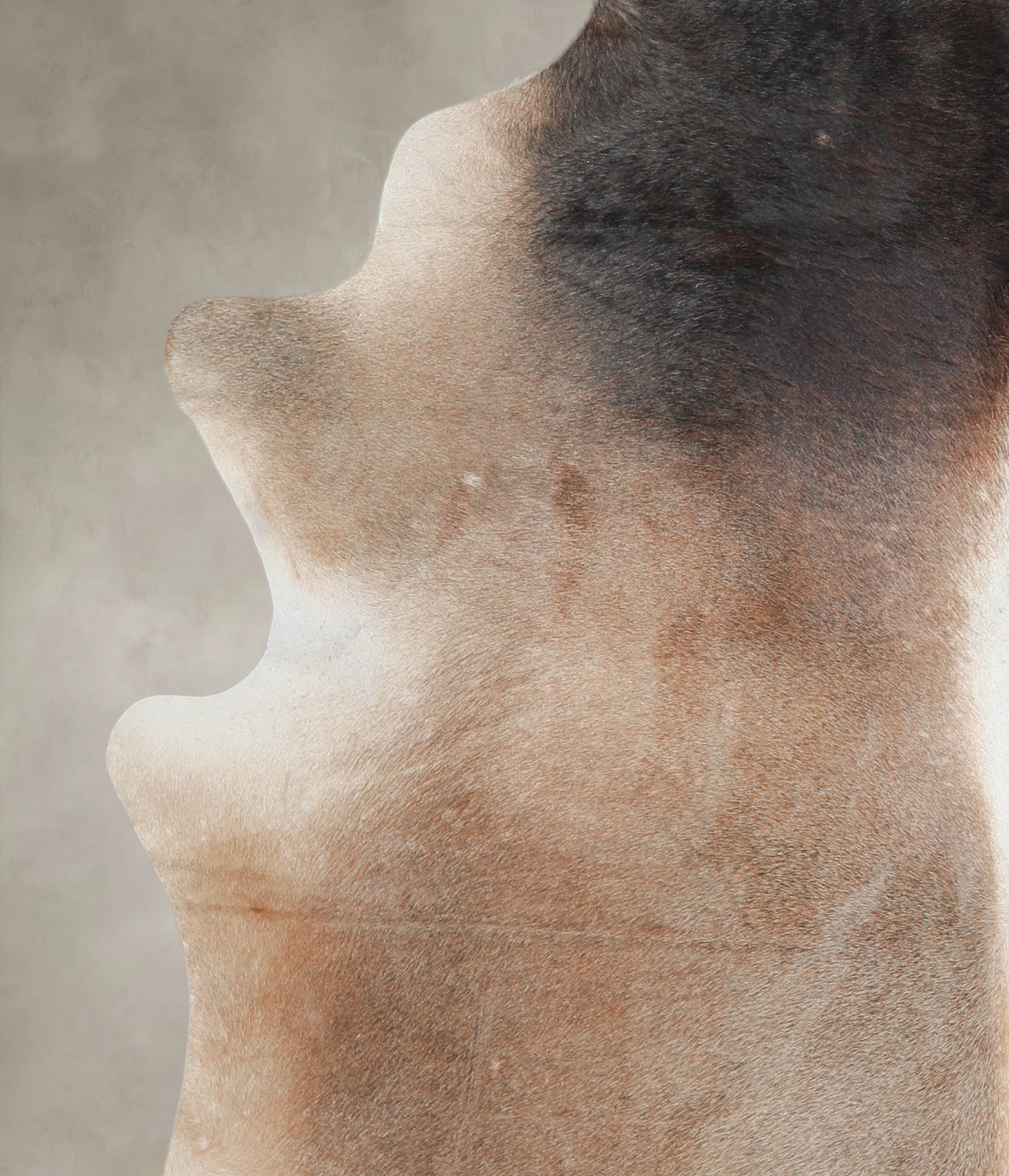 Grey with Beige Cowhide Rug #A25566