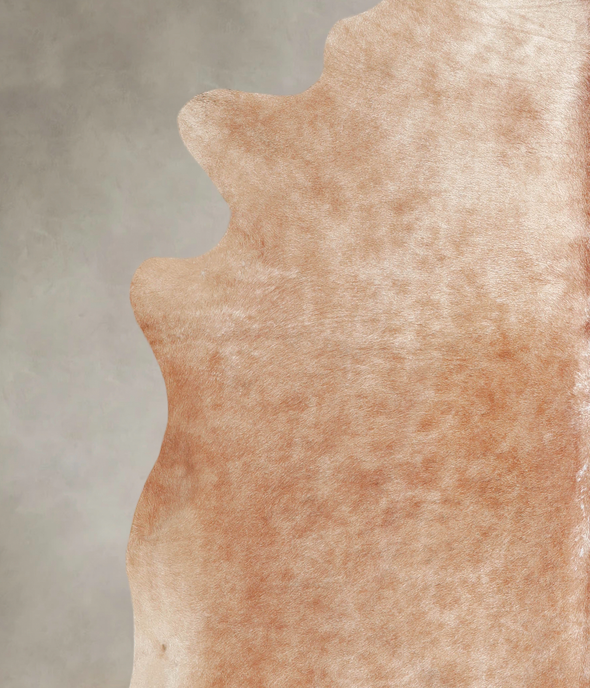 Beige XX-Large Brazilian Cowhide Rug 7'1"H x 7'3"W #A25568 by Hudson Hides