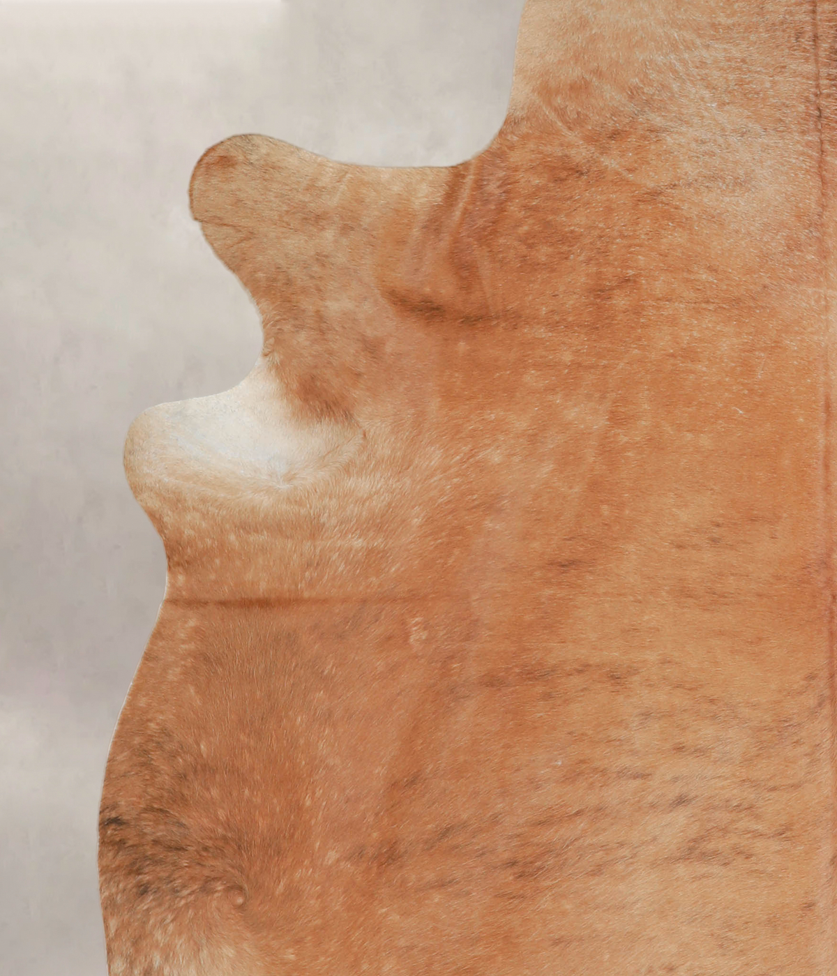 Solid Brown XX-Large Brazilian Cowhide Rug 7'8"H x 7'2"W #A25578 by Hudson Hides