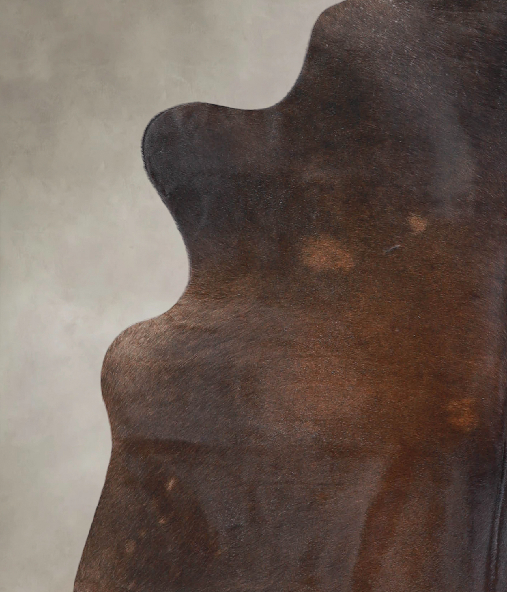 Chocolate Cowhide Rug #A25580