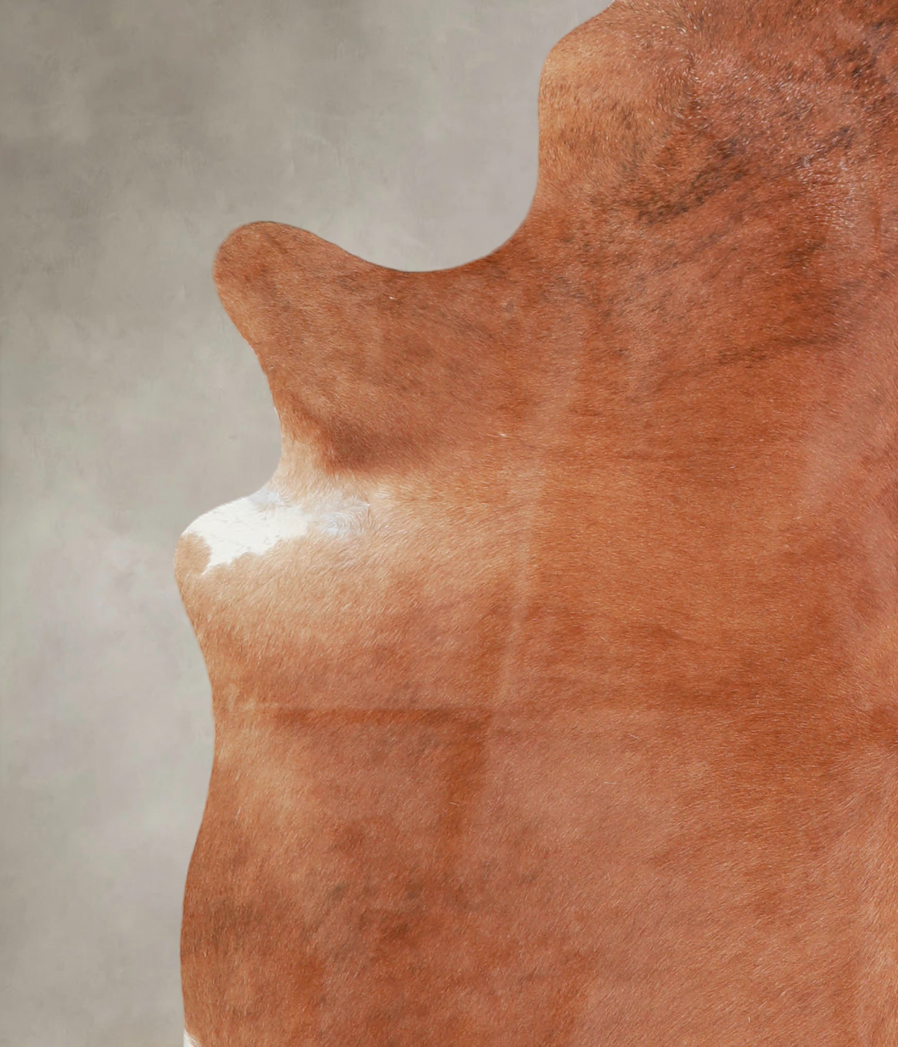 Solid Brown Cowhide Rug #A25583
