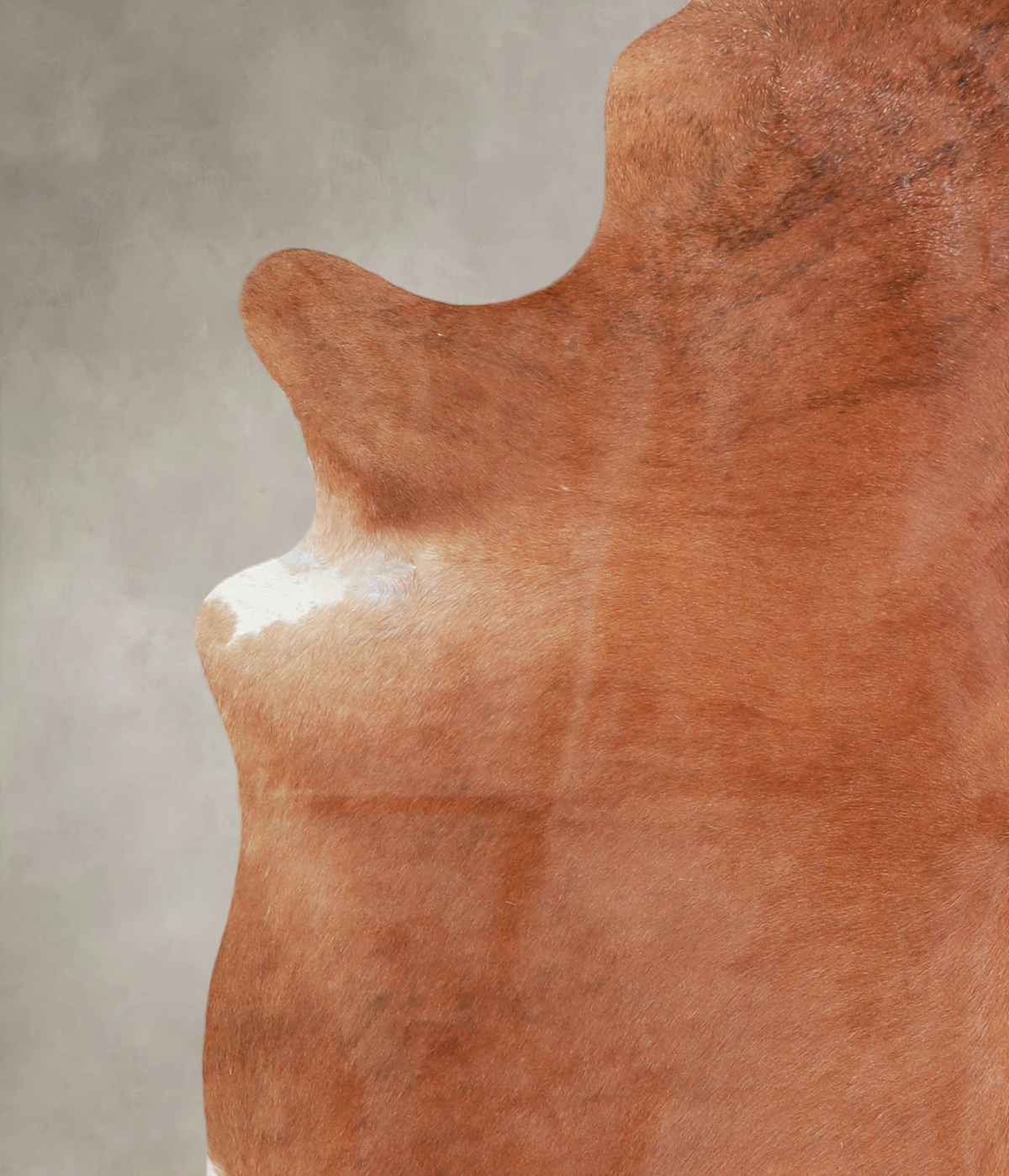 Solid Brown X-Large Brazilian Cowhide Rug 6'10"H x 6'0"W #A25583 by Hudson Hides