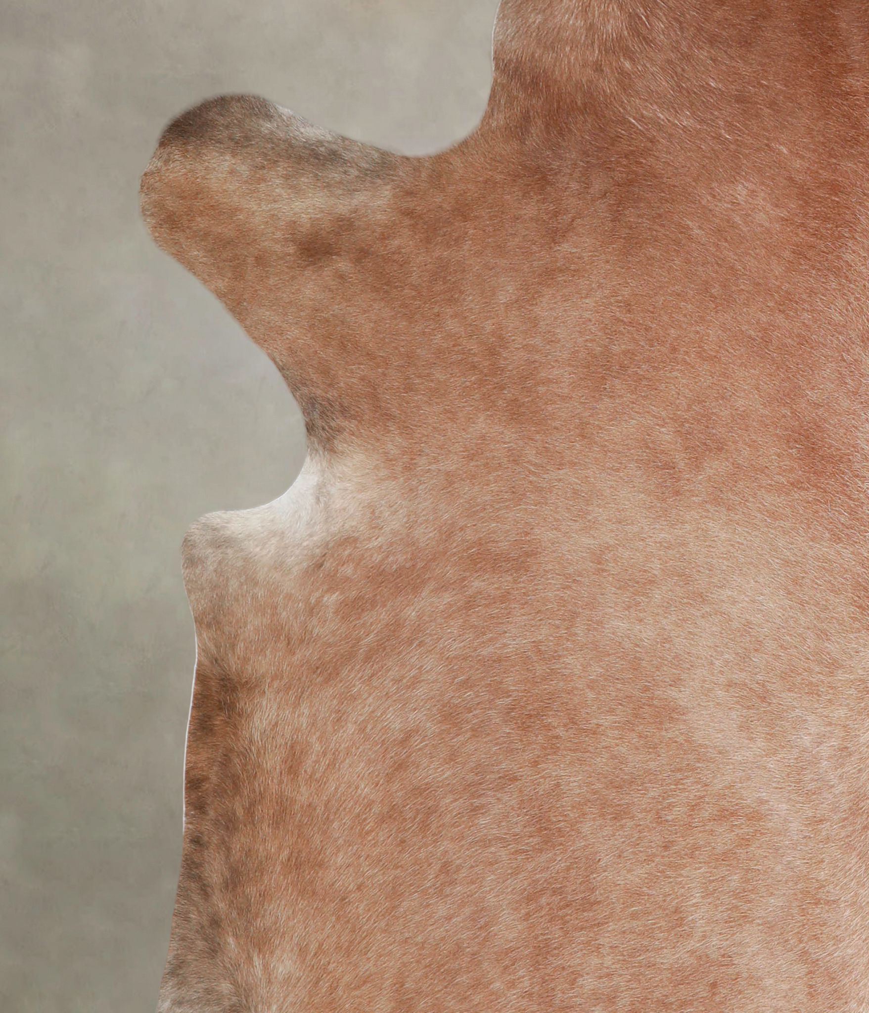 Solid Brown Cowhide Rug #A25599