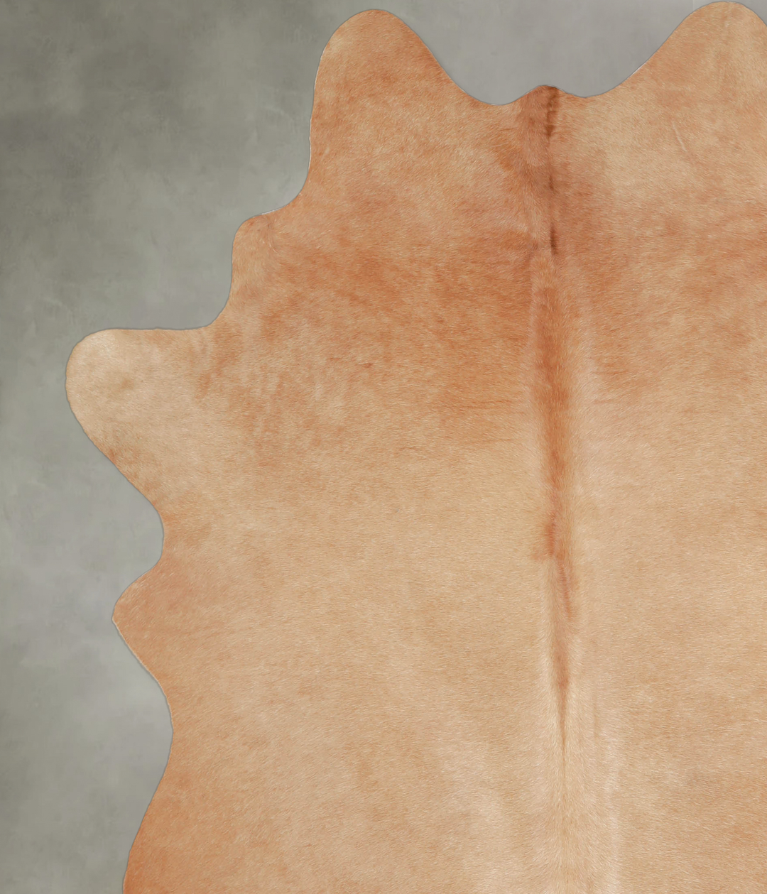 Beige Large Brazilian Cowhide Rug 6'10"H x 5'9"W #A25625 by Hudson Hid