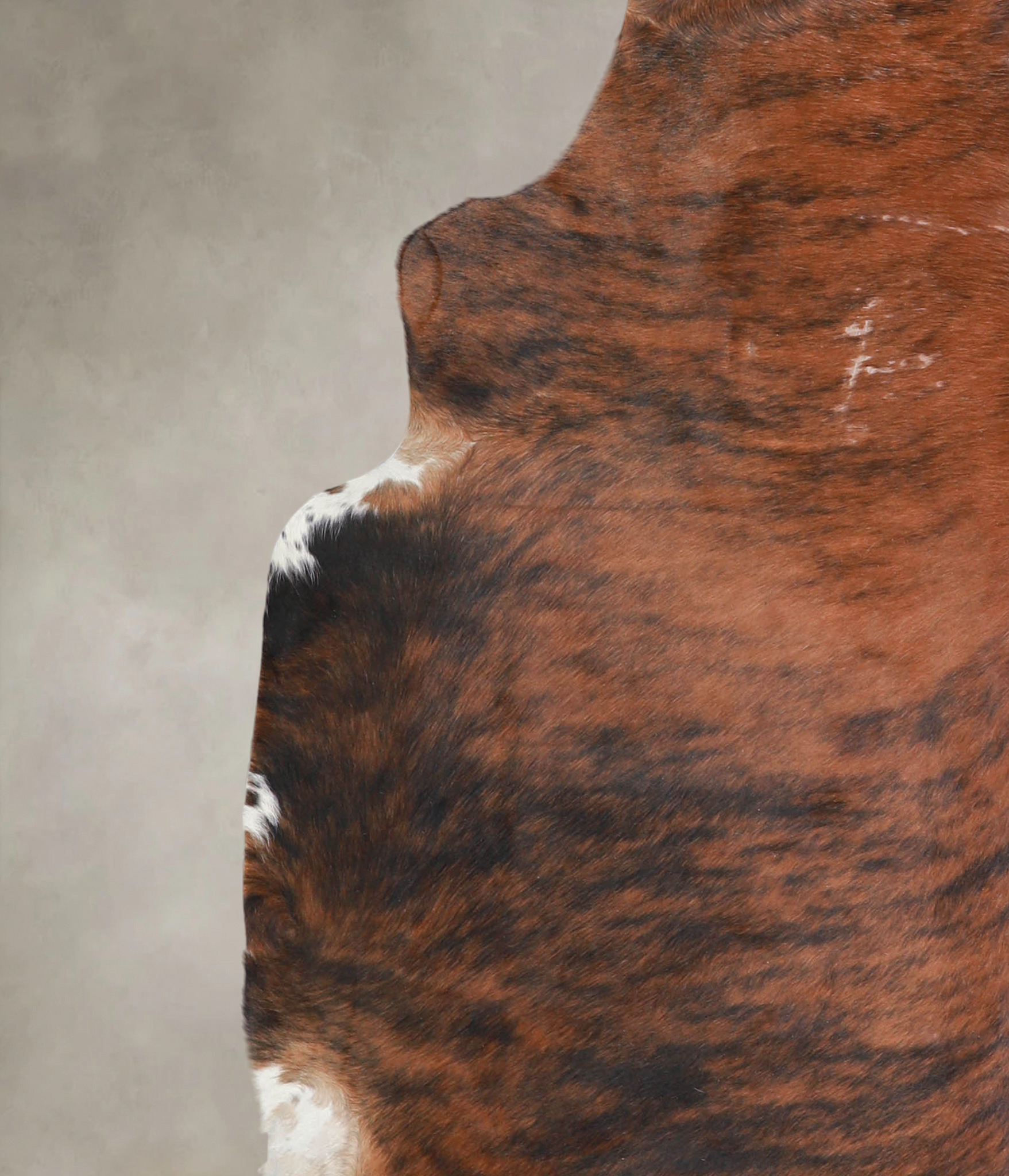 Medium Brindle Cowhide Rug #A25626