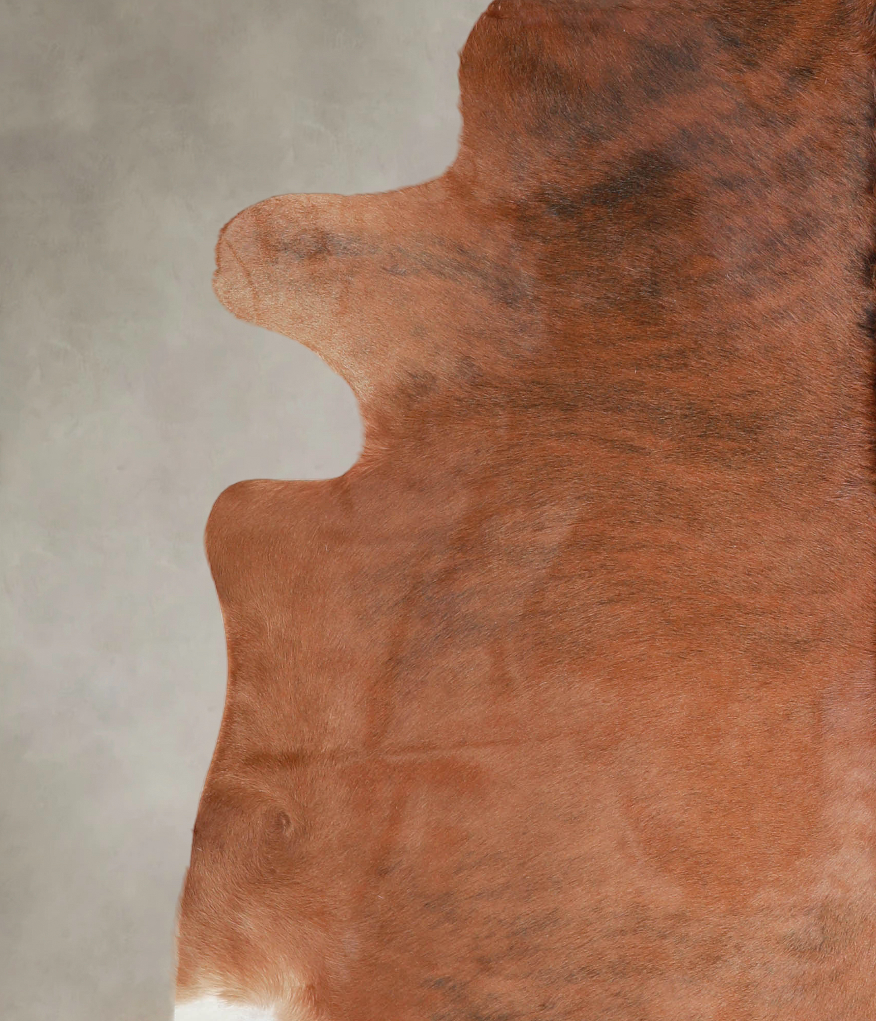Medium Brindle Cowhide Rug #A25634