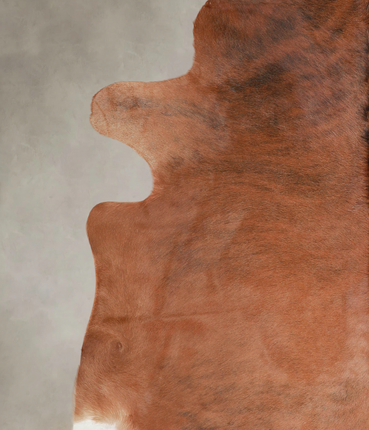 Medium Brindle X-Large Brazilian Cowhide Rug 6'11"H x 6'11"W #A25634 by Hudson Hides