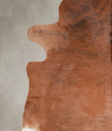 Medium Brindle X-Large Brazilian Cowhide Rug 6'11"H x 6'11"W #A25634 by Hudson Hides