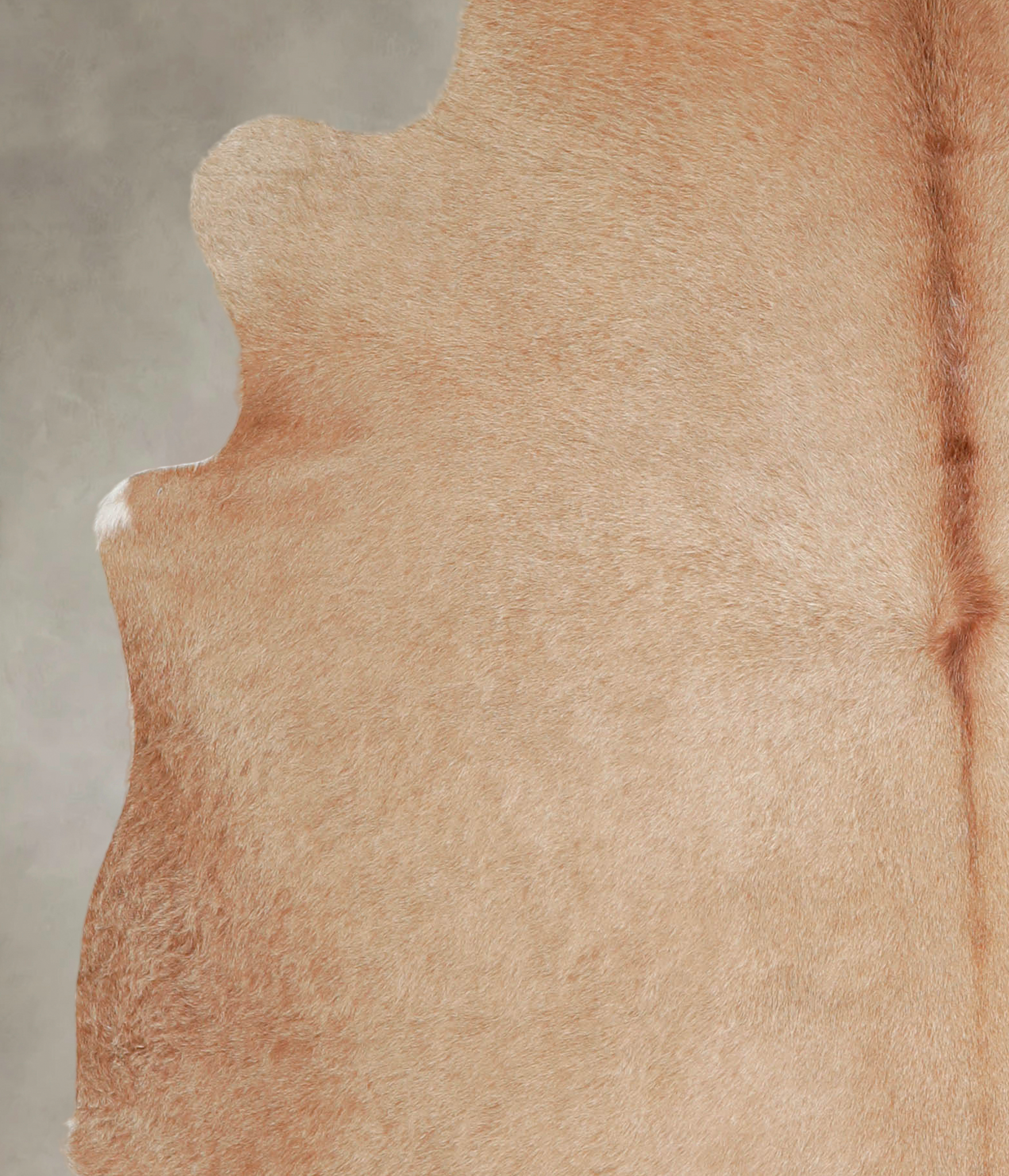 Beige Cowhide Rug #A25636