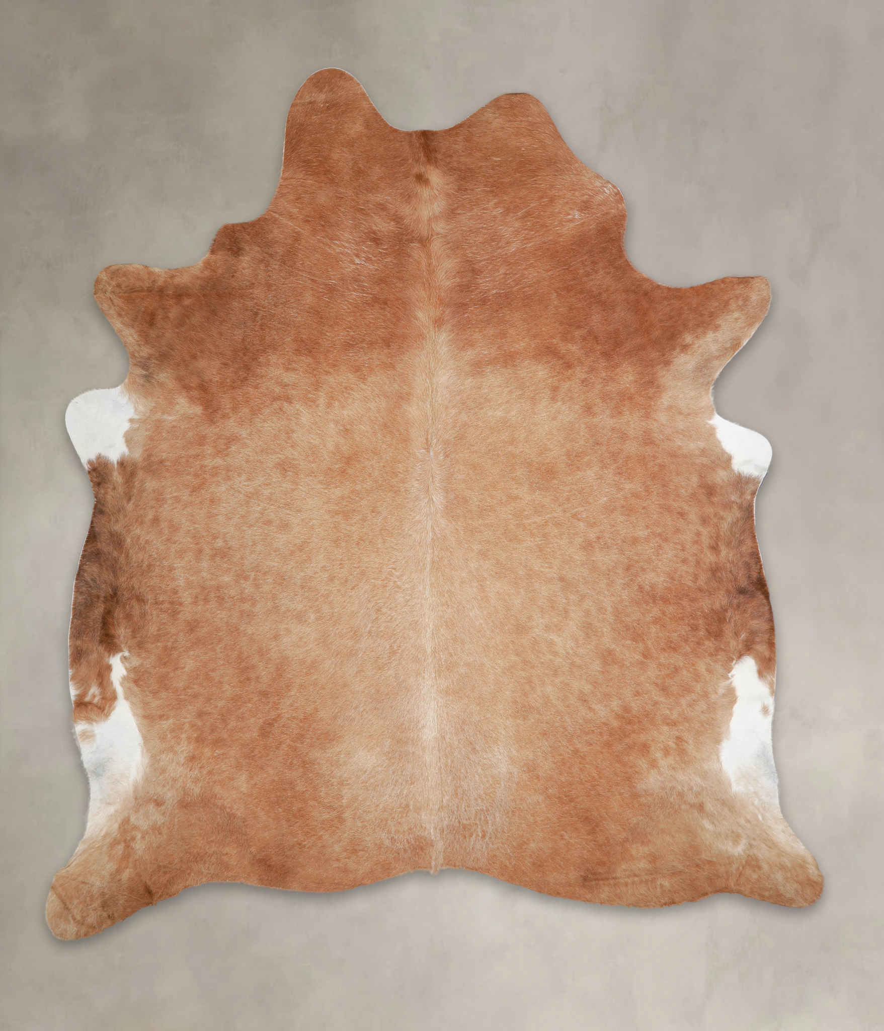 Solid Brown Cowhide Rug #A25640