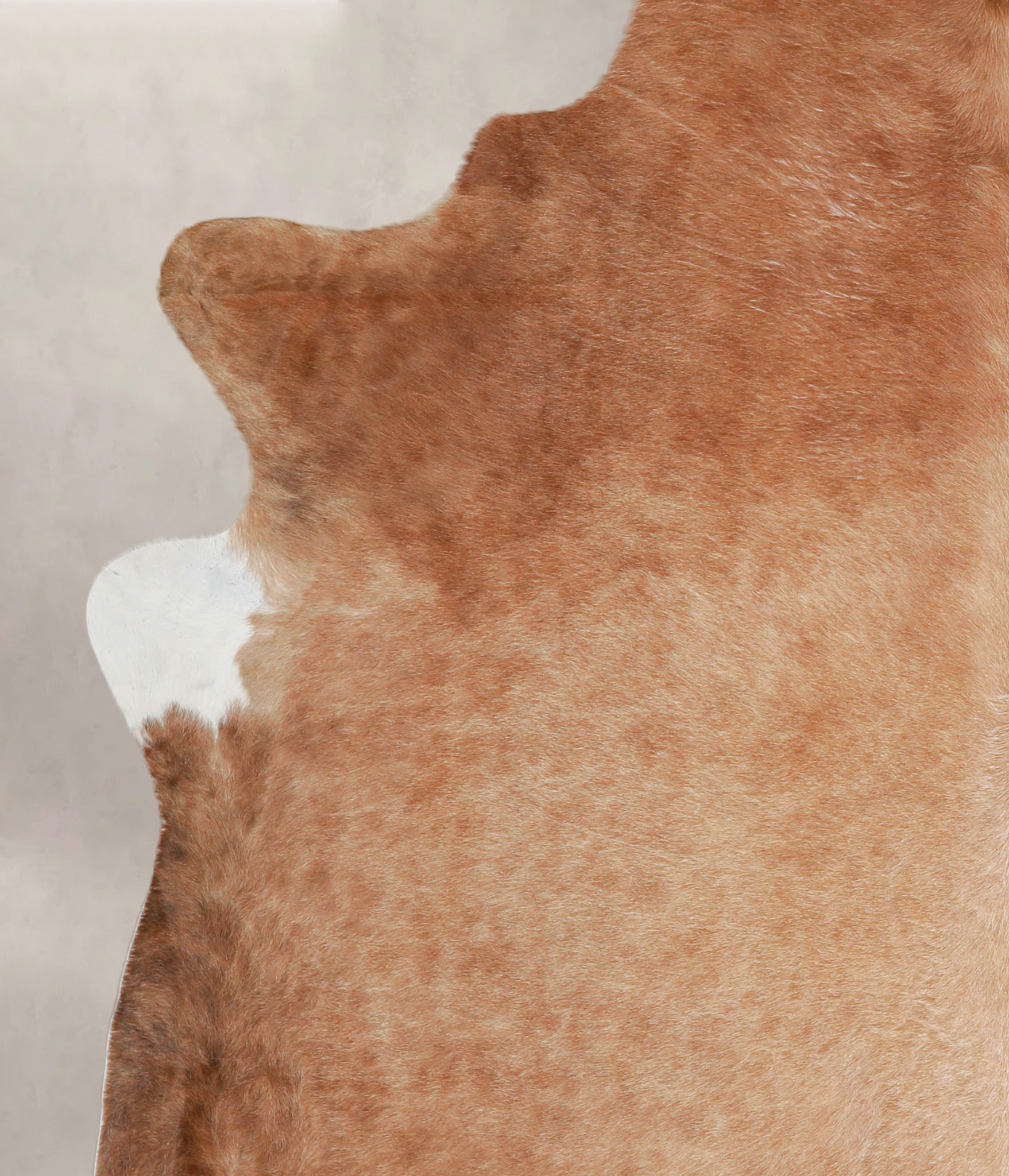 Solid Brown Cowhide Rug #A25640