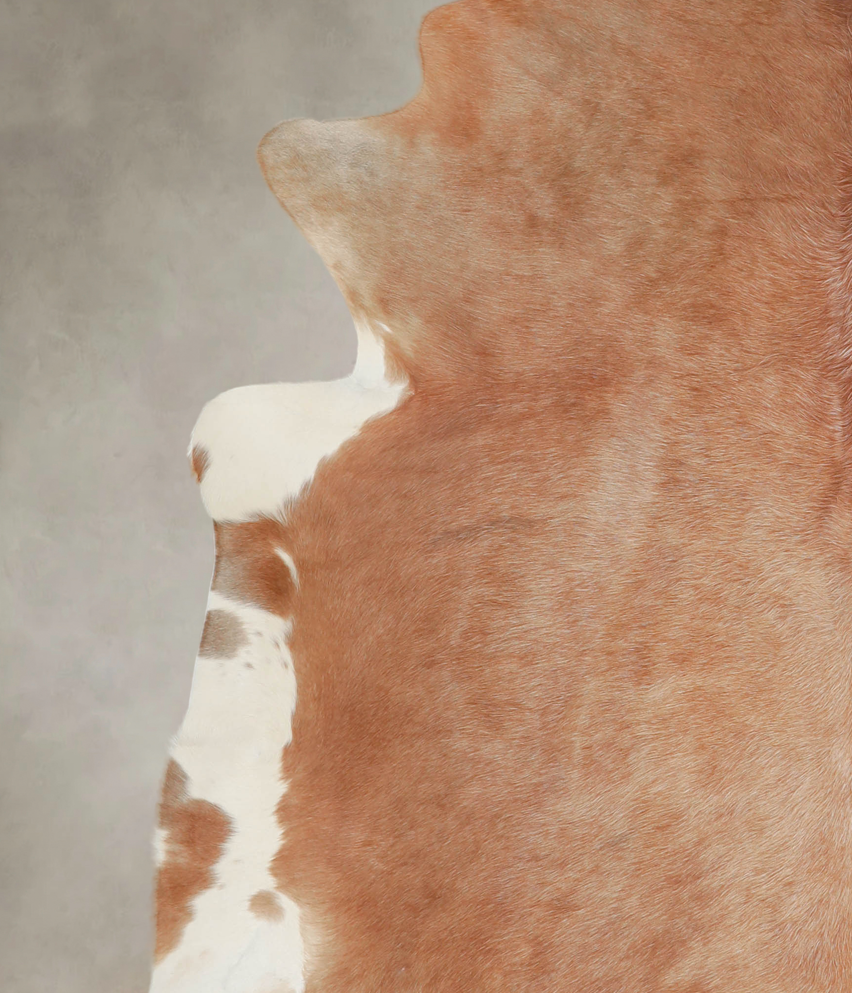 Brown and White Regular Cowhide Rug #A25650