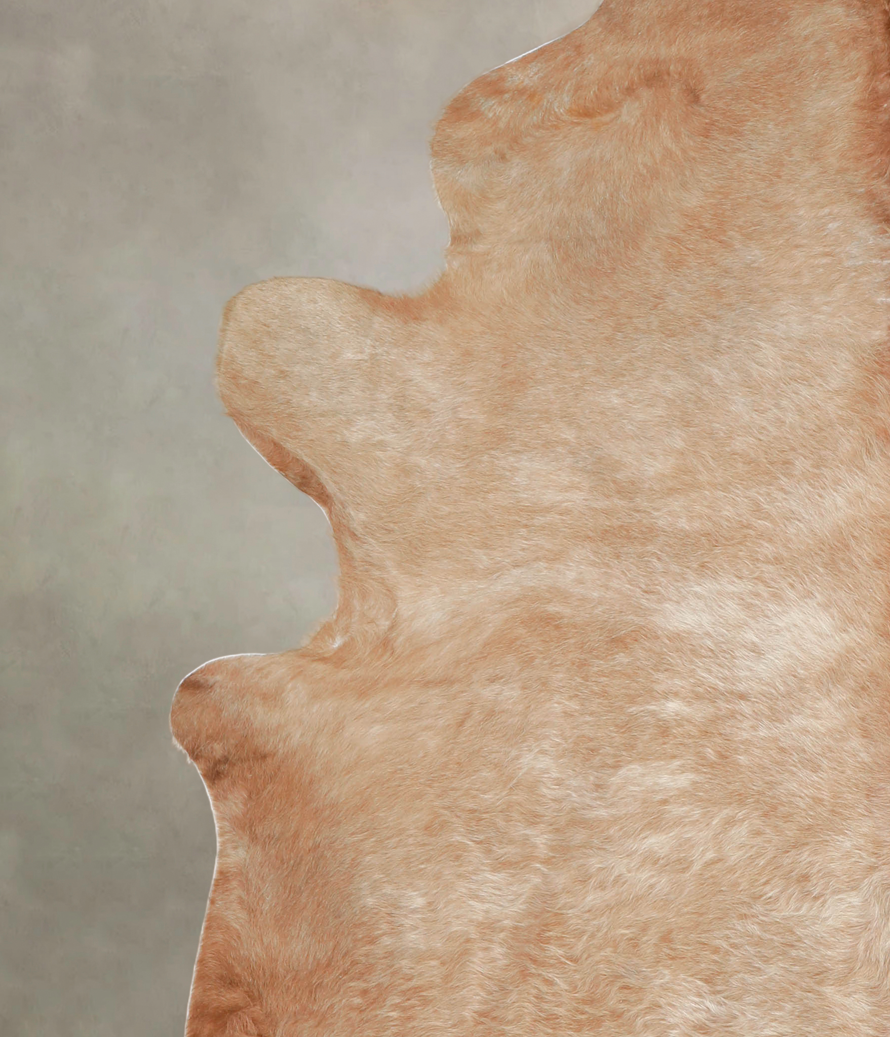 Beige Cowhide Rug #A25678