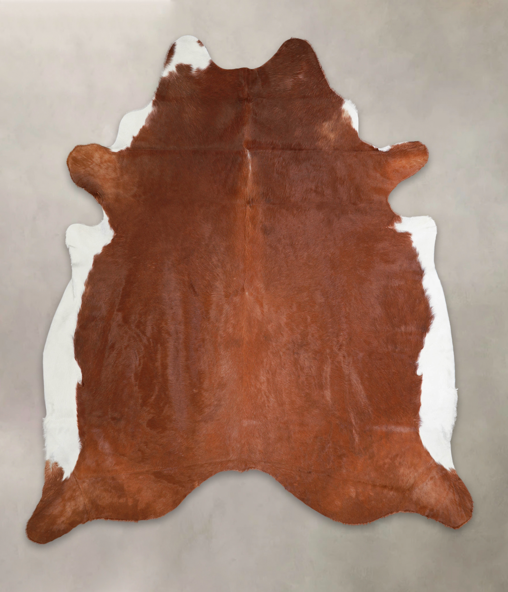 Brown and White Regular Cowhide Rug #A25691