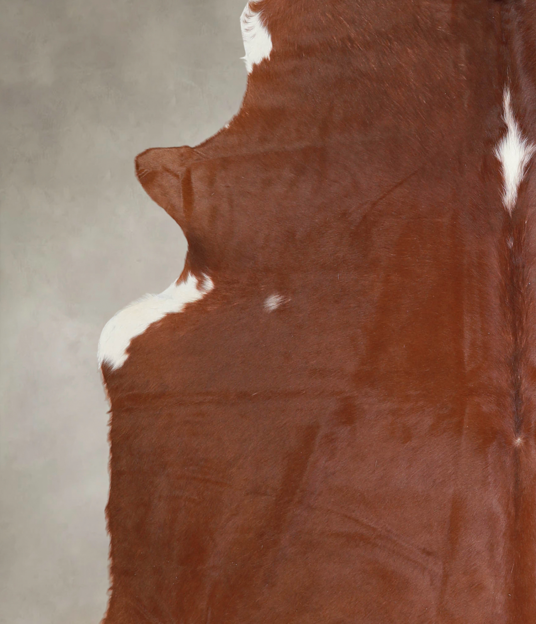 Brown and White Regular Cowhide Rug #A25723