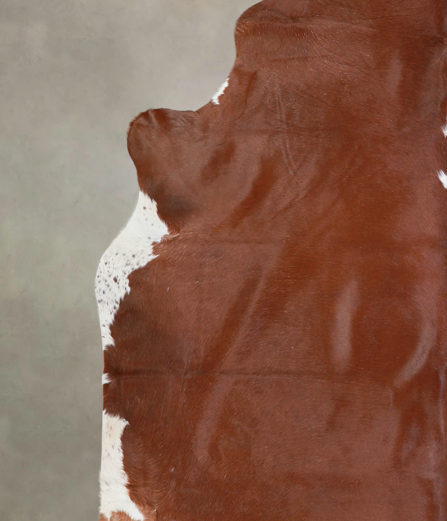 Brown and White Regular Cowhide Rug #A25744