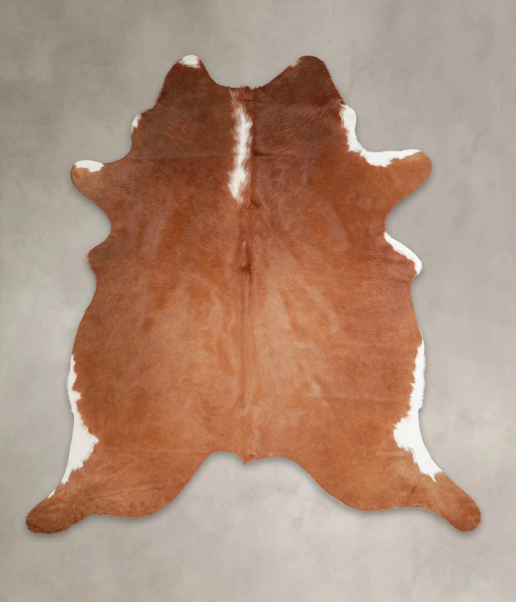 Brown and White Regular Cowhide Rug #A25769