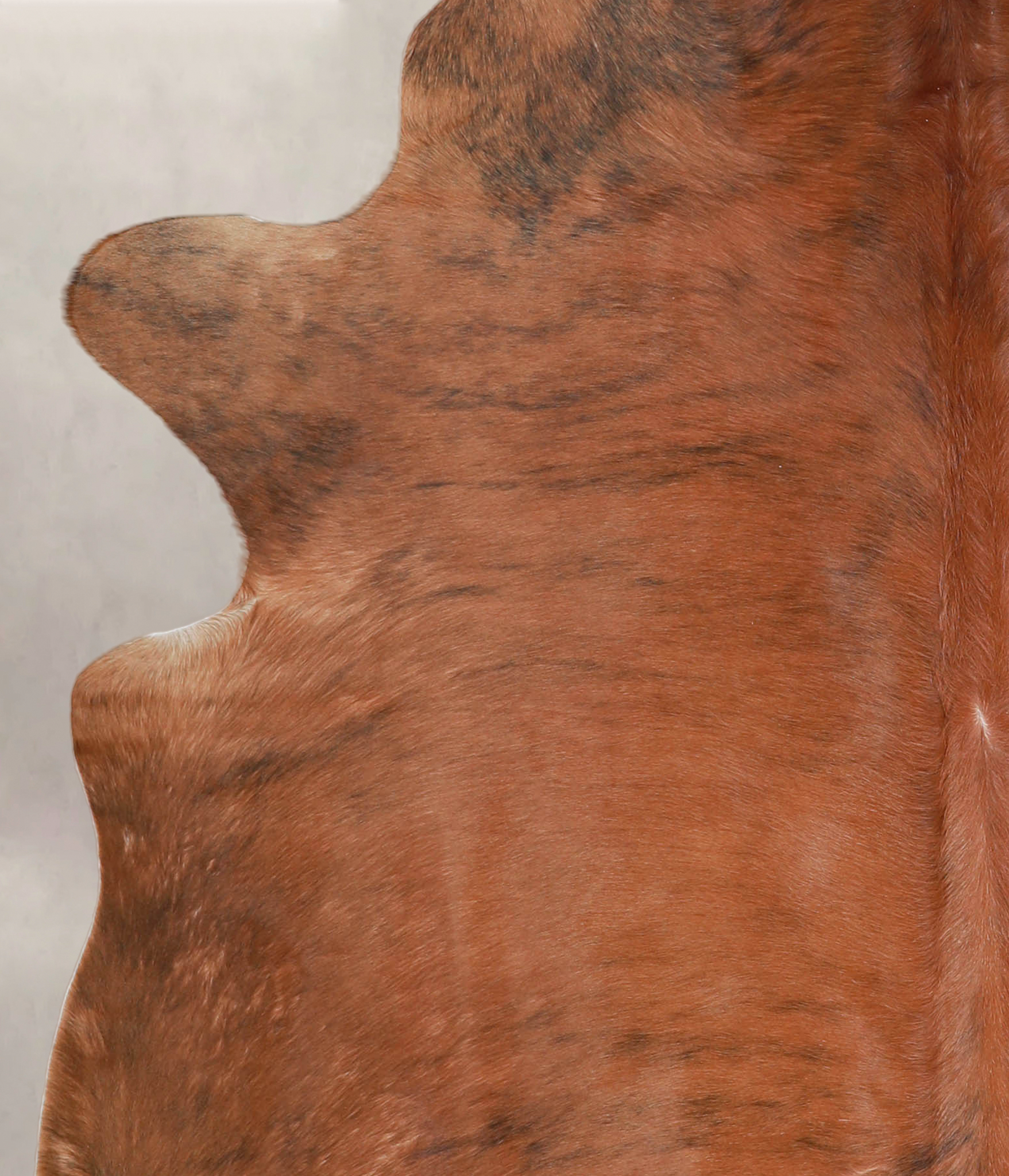 Medium Brindle Cowhide Rug #A25772