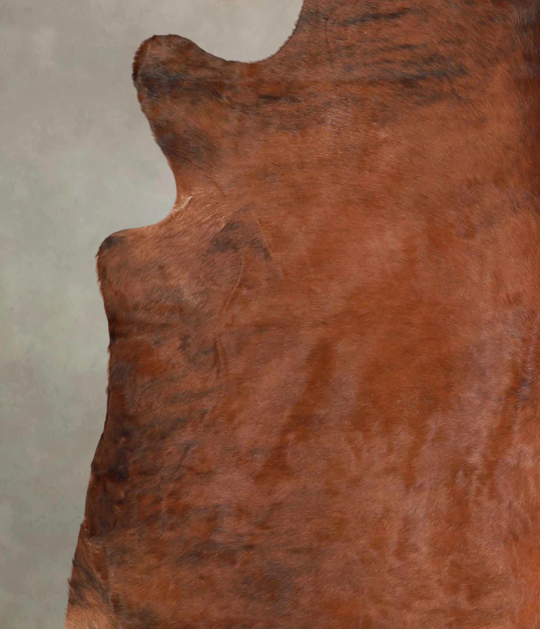 Medium Brindle Cowhide Rug #A25779