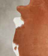Solid Brown XX-Large Brazilian Cowhide Rug 7'3"H x 6'11"W #A25794 by Hudson Hides