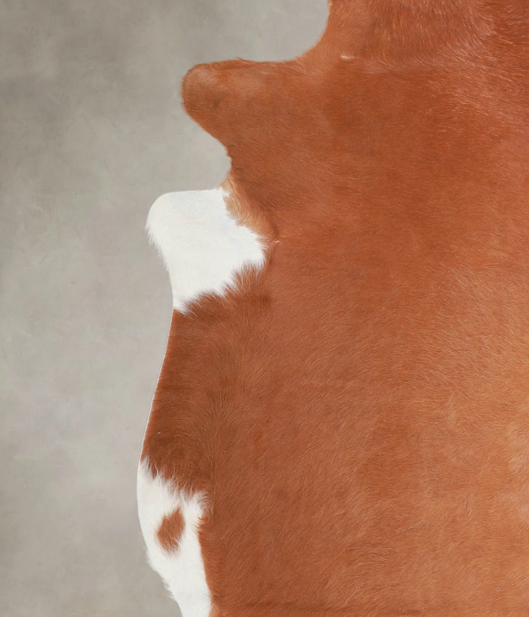 Solid Brown Cowhide Rug #A25794