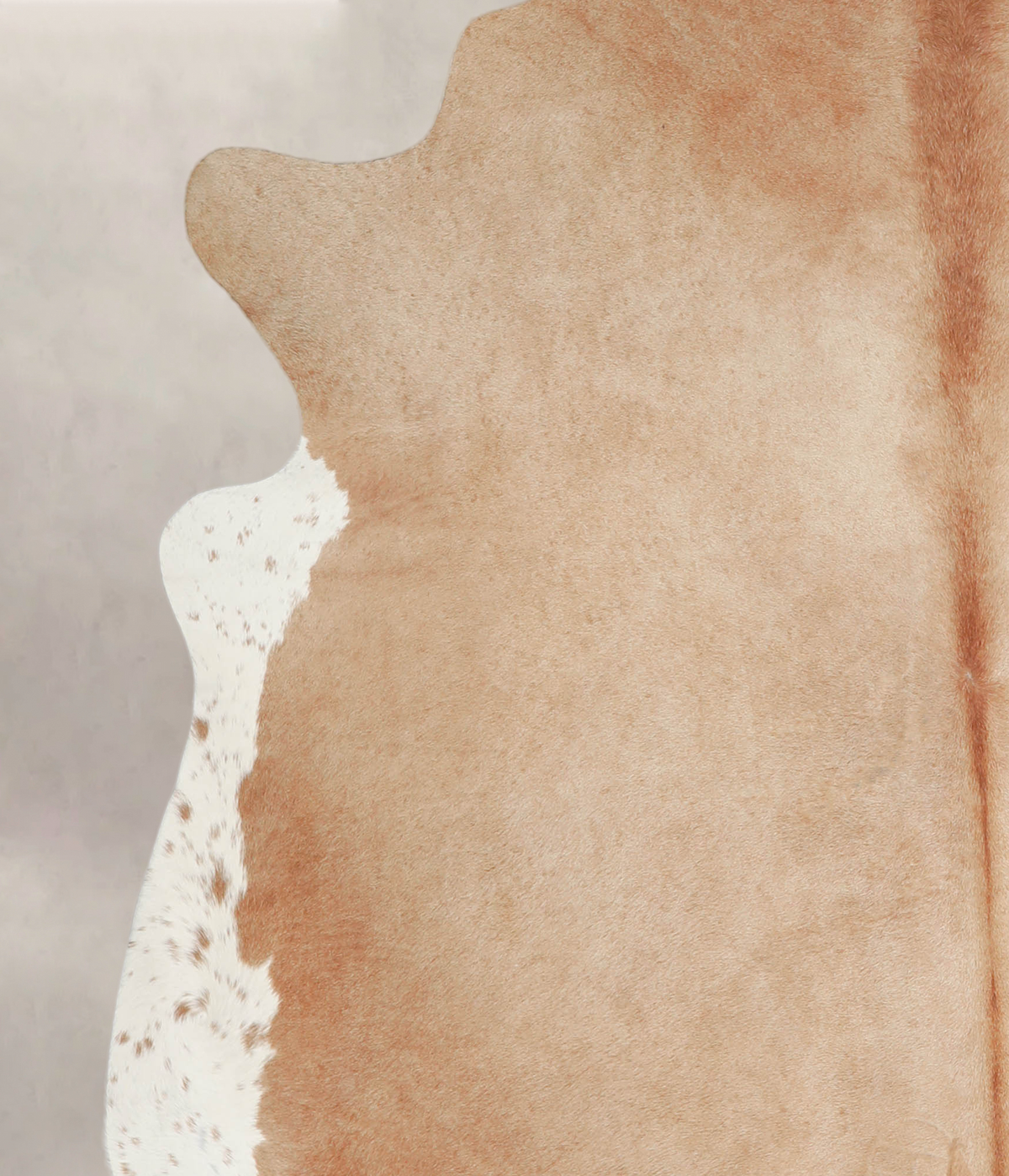 Beige XX-Large Brazilian Cowhide Rug 7'2"H x 7'0"W #A25828 by Hudson Hides