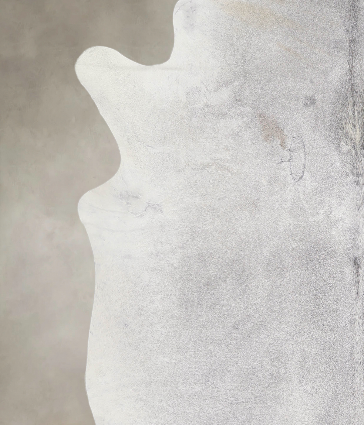 Medium Grey X-Large Brazilian Cowhide Rug 7'0"H x 6'10"W #A25841 by Hudson Hides