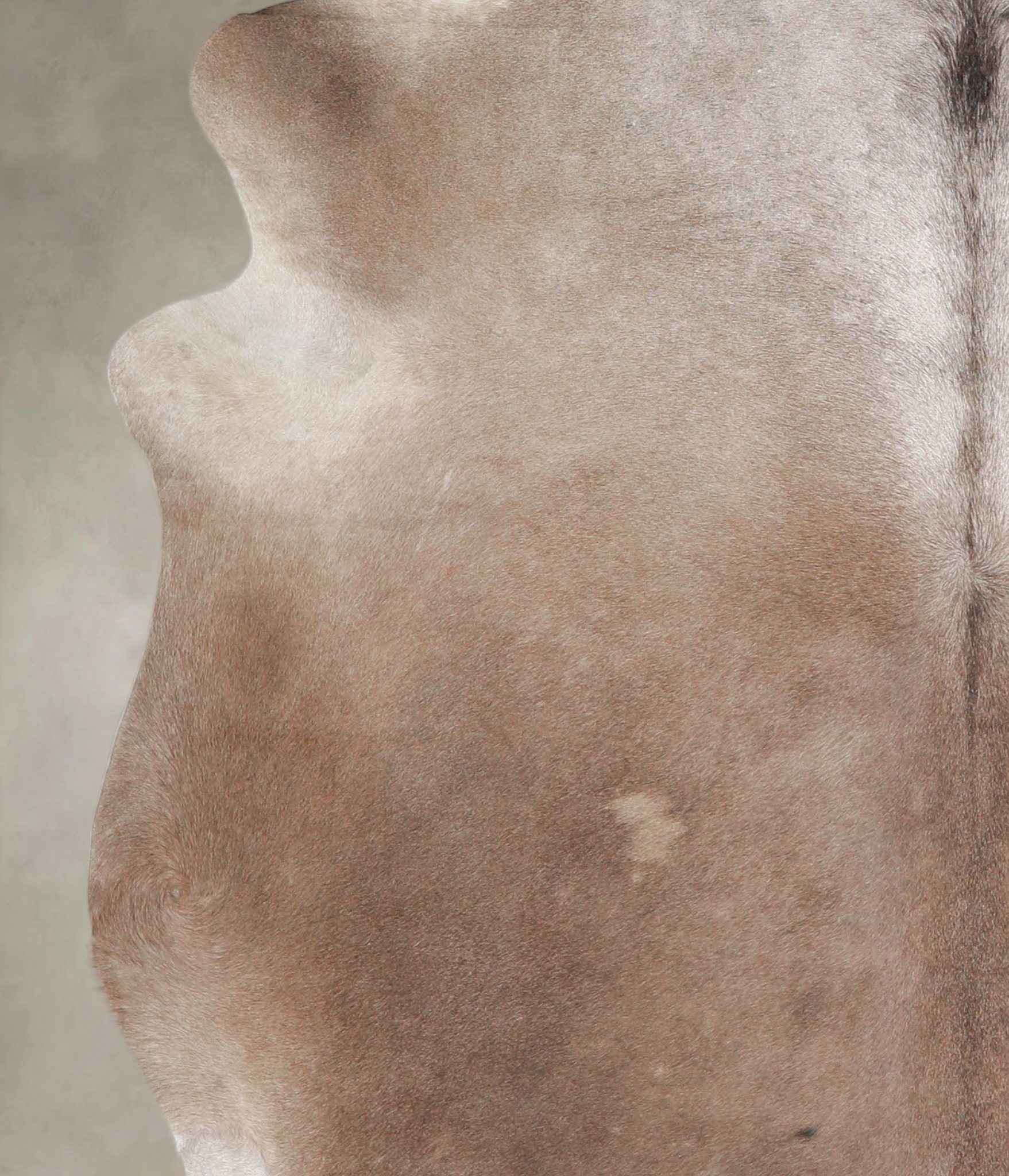 Taupe Cowhide Rug #A25852