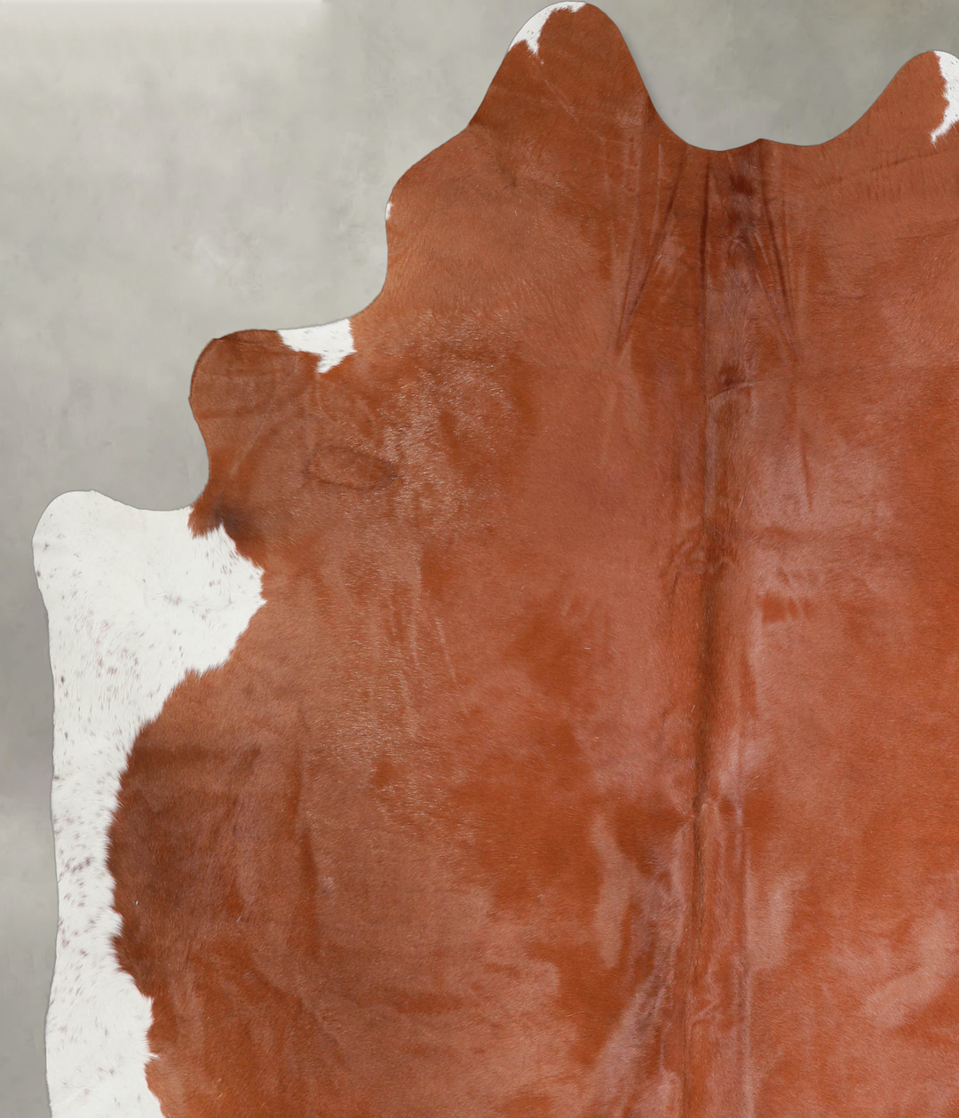 Brown and White XX-Large Brazilian Cowhide Rug 7'9"H x 6'8"W #A25857 b