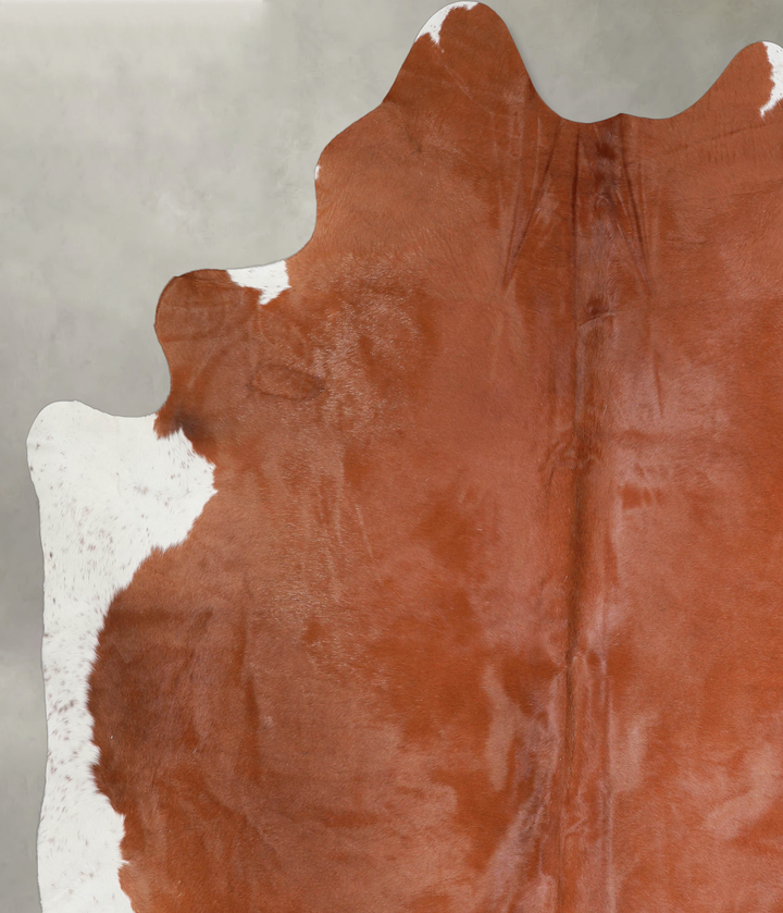 Brown and White  XX-Large Brazilian Cowhide Rug 7'9"H x 6'8"W #A25857 by Hudson Hides