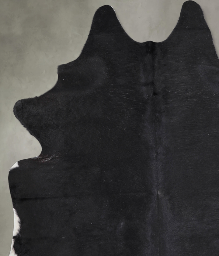 Solid Black Large Brazilian Cowhide Rug 6'7"H x 5'6"W #A25866 by Hudson Hides