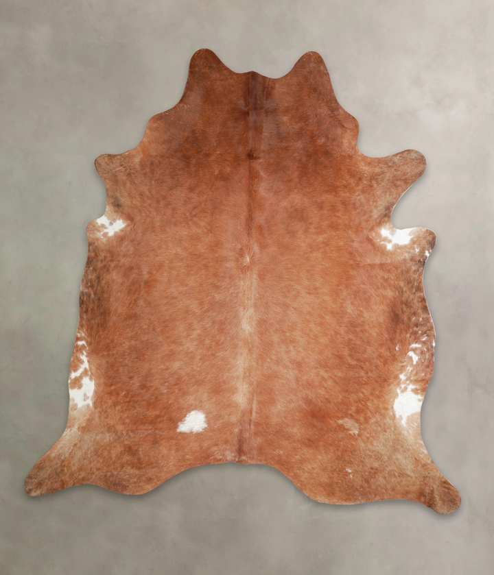 Solid Brown XX-Large Brazilian Cowhide Rug 7'8"H x 7'1"W #A25886 by Hudson Hides