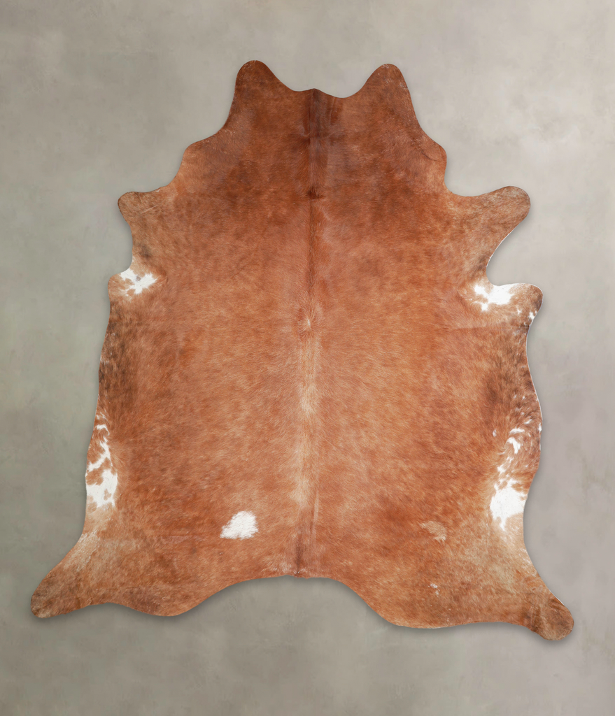 Solid Brown XX-Large Brazilian Cowhide Rug 7'8"H x 7'1"W #A25886 by Hudson Hides