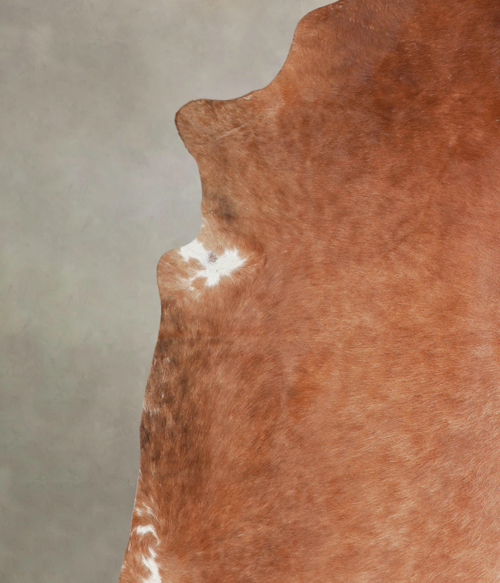 Solid Brown XX-Large Brazilian Cowhide Rug 7'8"H x 7'1"W #A25886 by Hudson Hides
