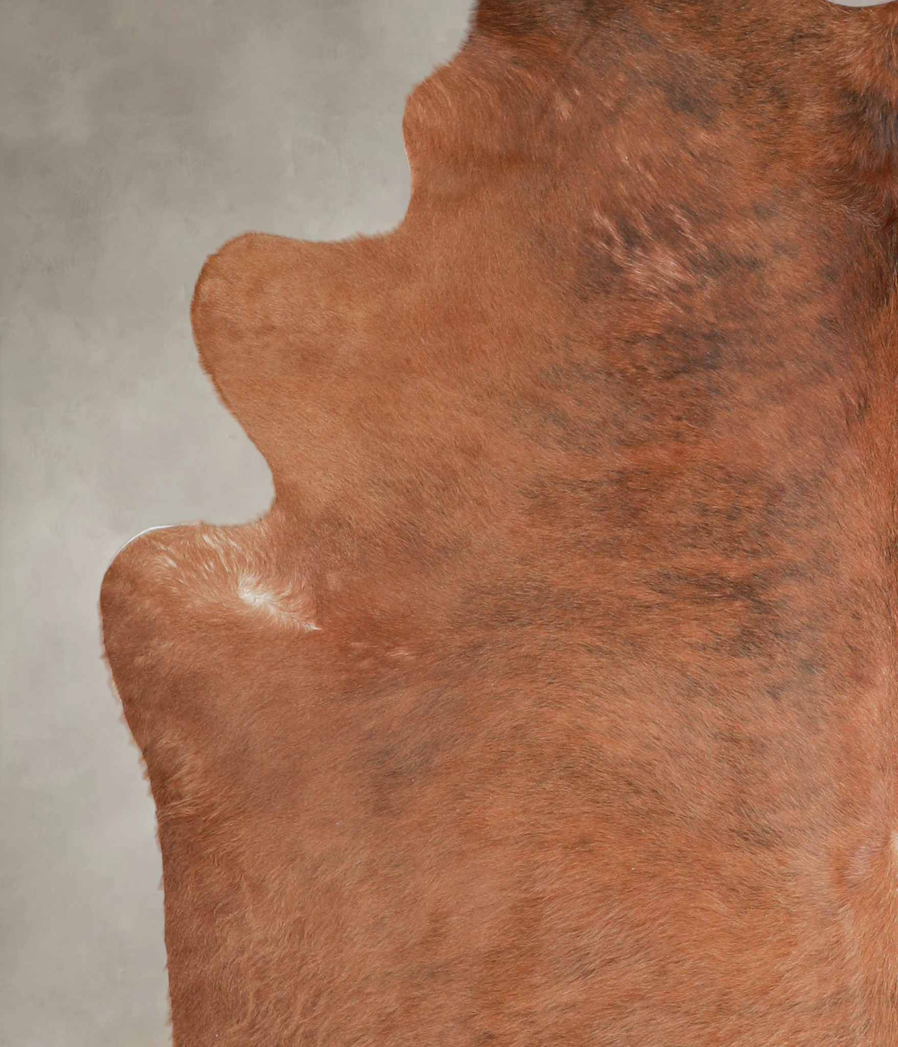 Medium Brindle Cowhide Rug #A25920