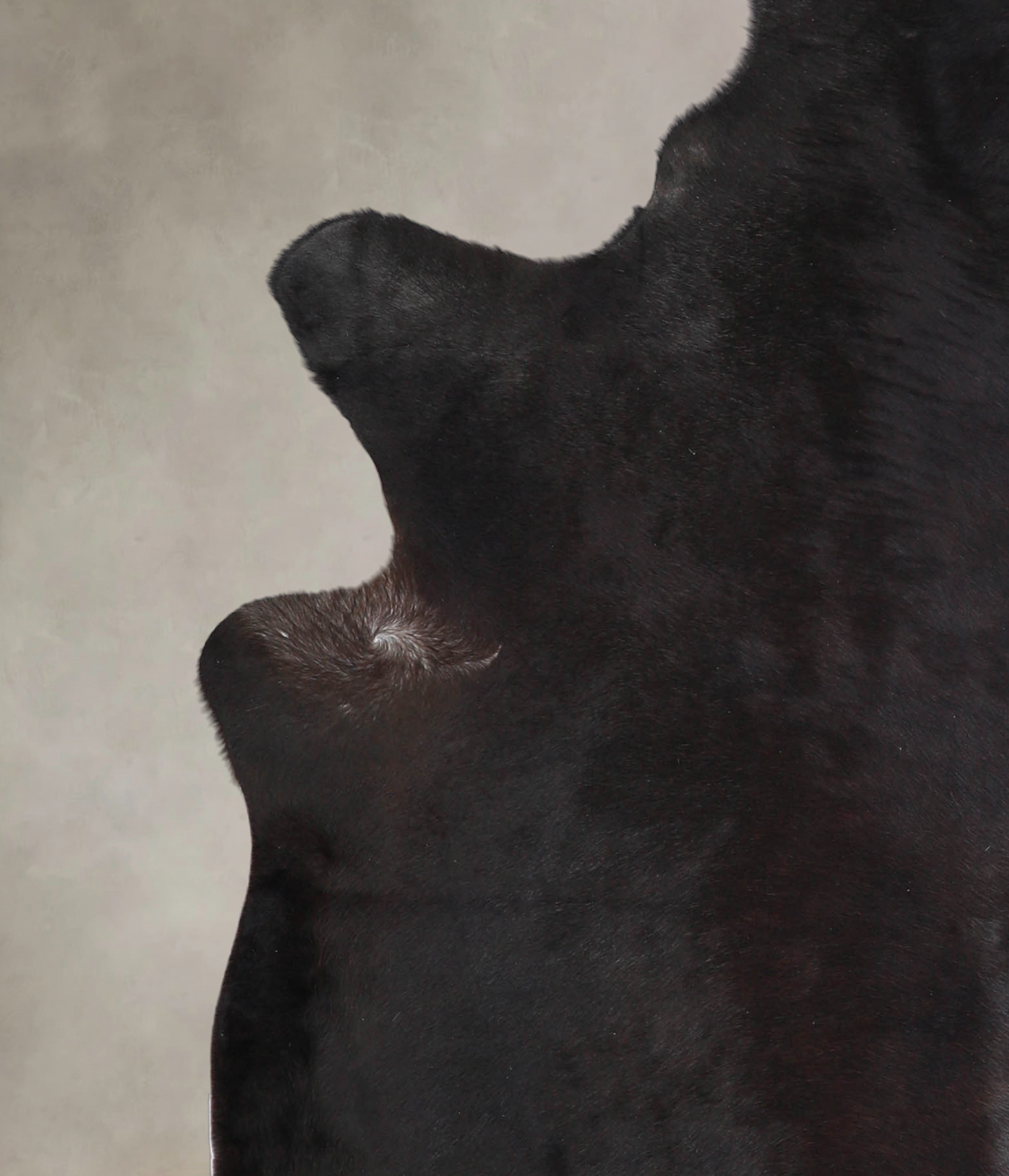 Solid Black Cowhide Rug #A25934